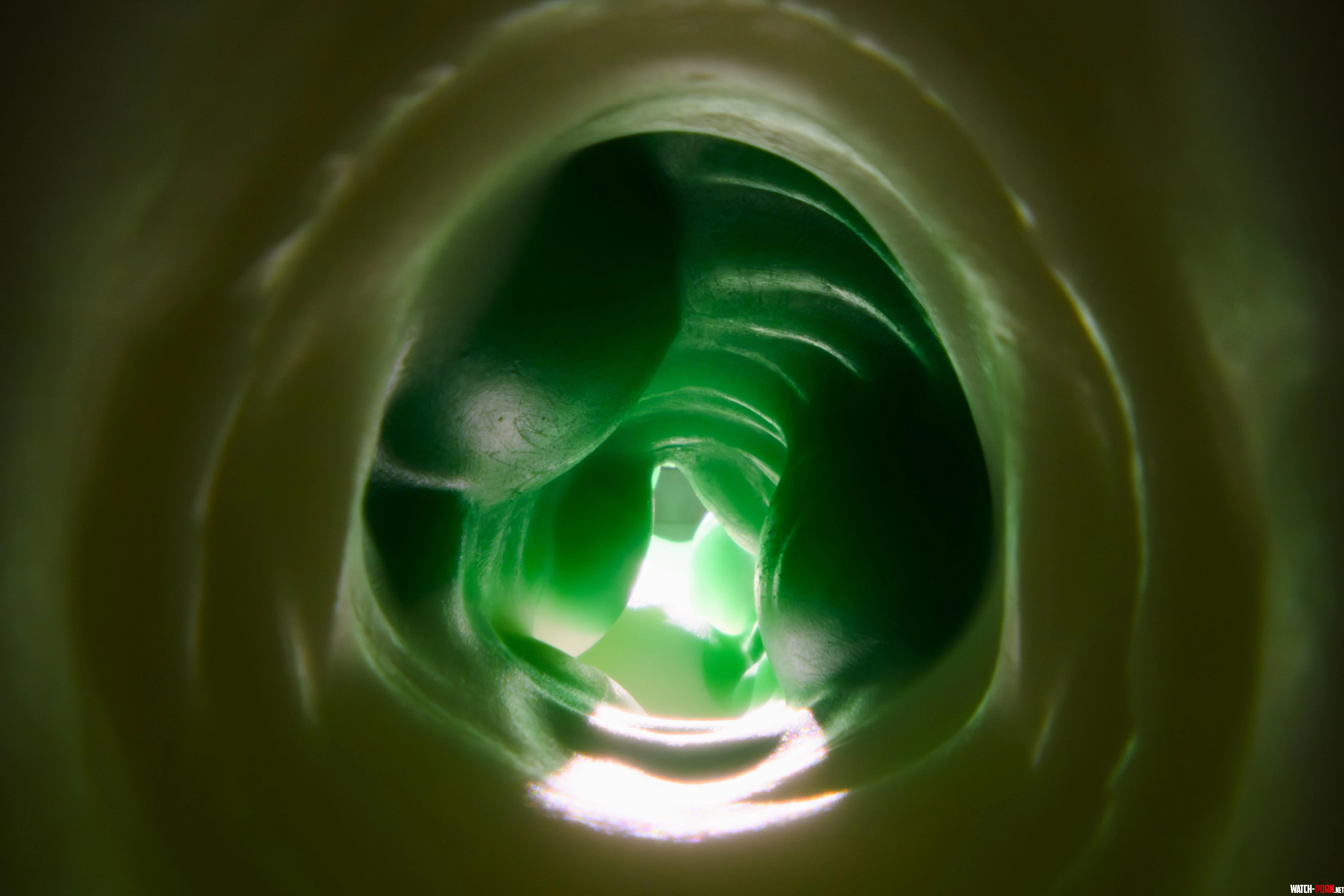 Tooshi Internal by pnnz7474