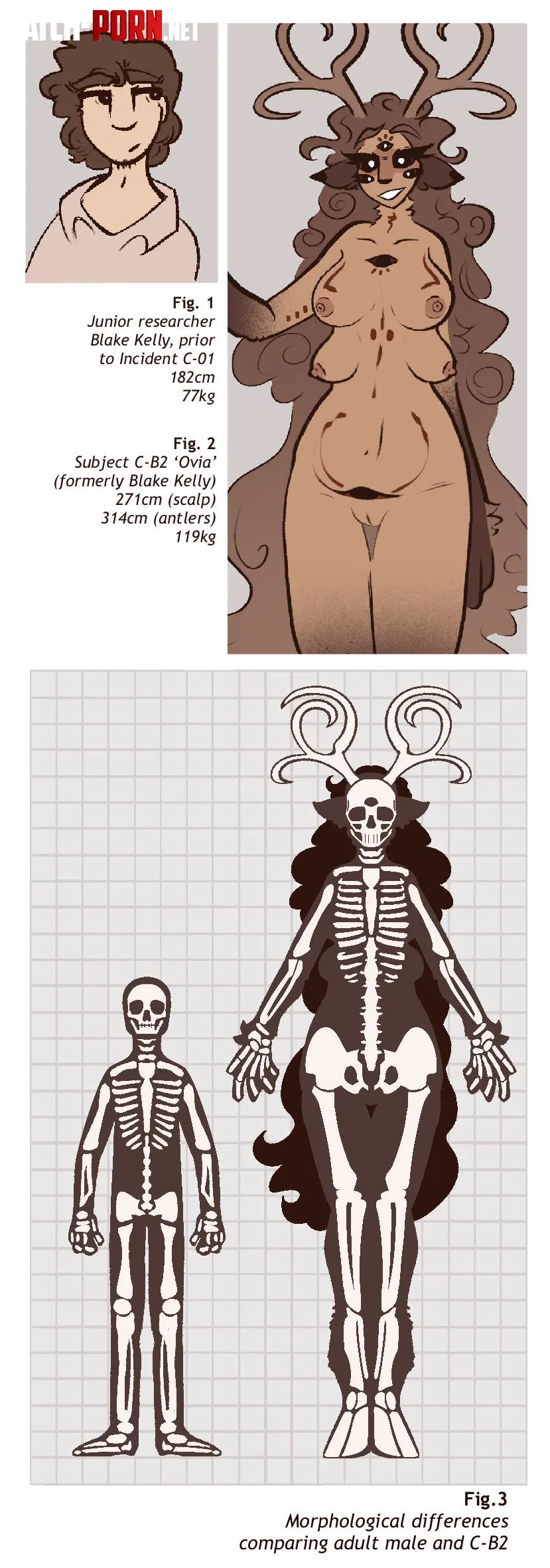 Something a bit different here from my usual posts, a snippet of something I never quite finished, AMA if you’d like! (Implied / Post MTF, M Human -> F Deer Woman) by Morbiosussy