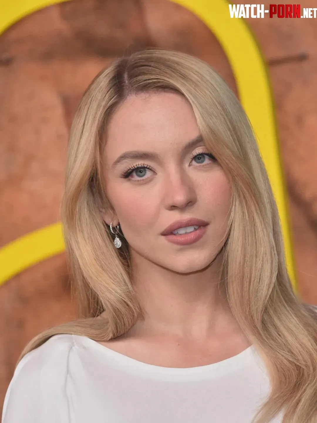 Sydney Sweeney by BillyDaBrute