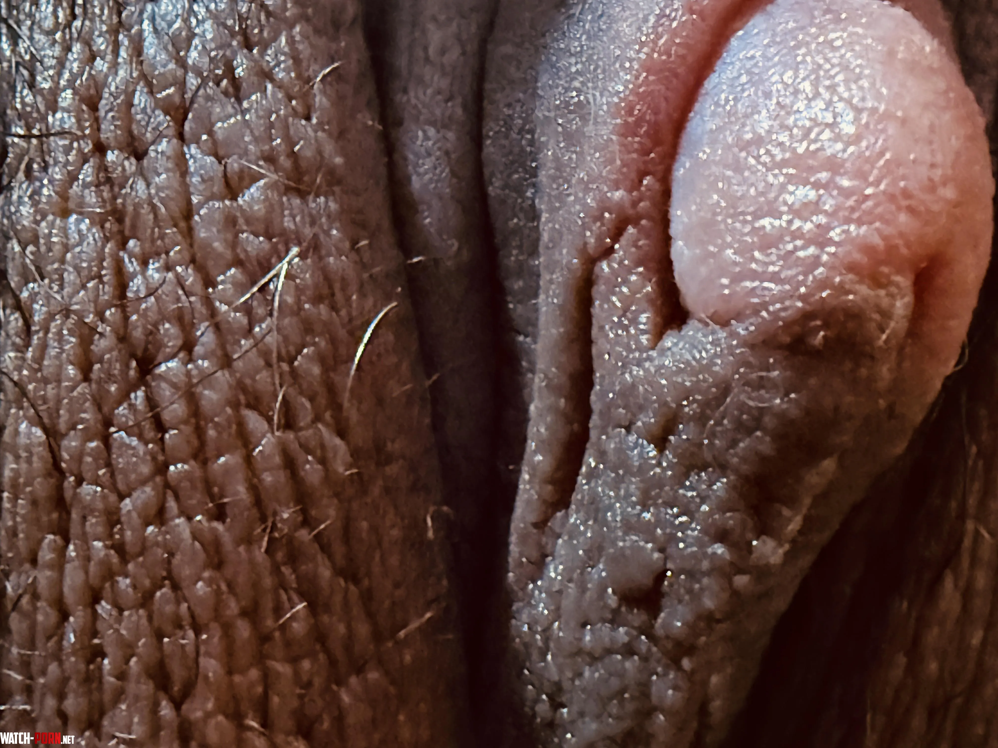 Close up of my Clit by Mountain-Designer181