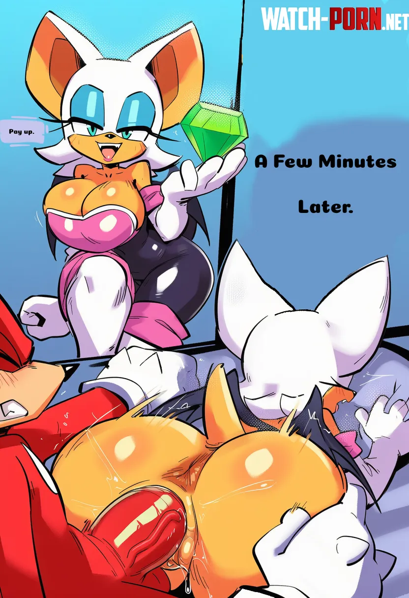 Rogue / Knuckles!, Everything comes with a price. by NoConnection2386