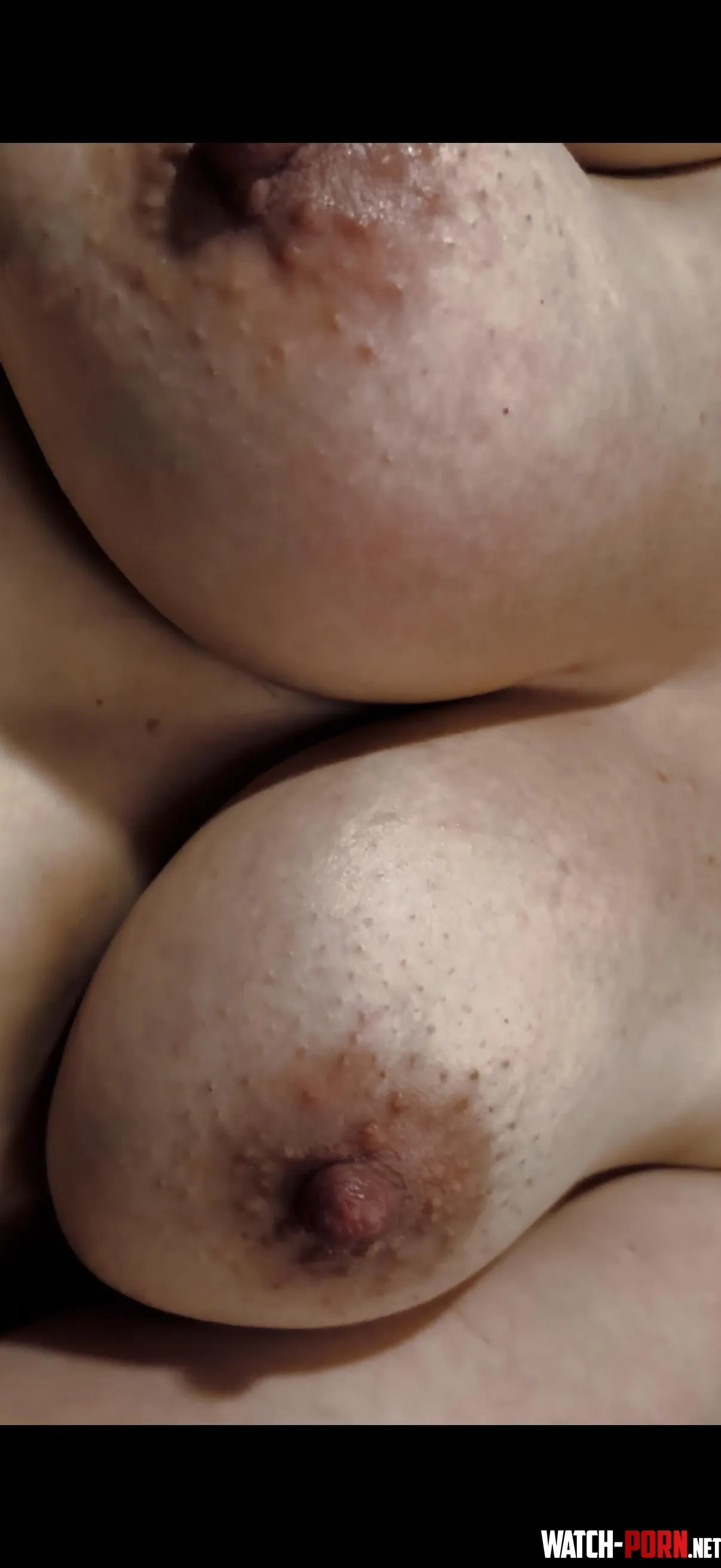 Hello by Icy-Dependent4489