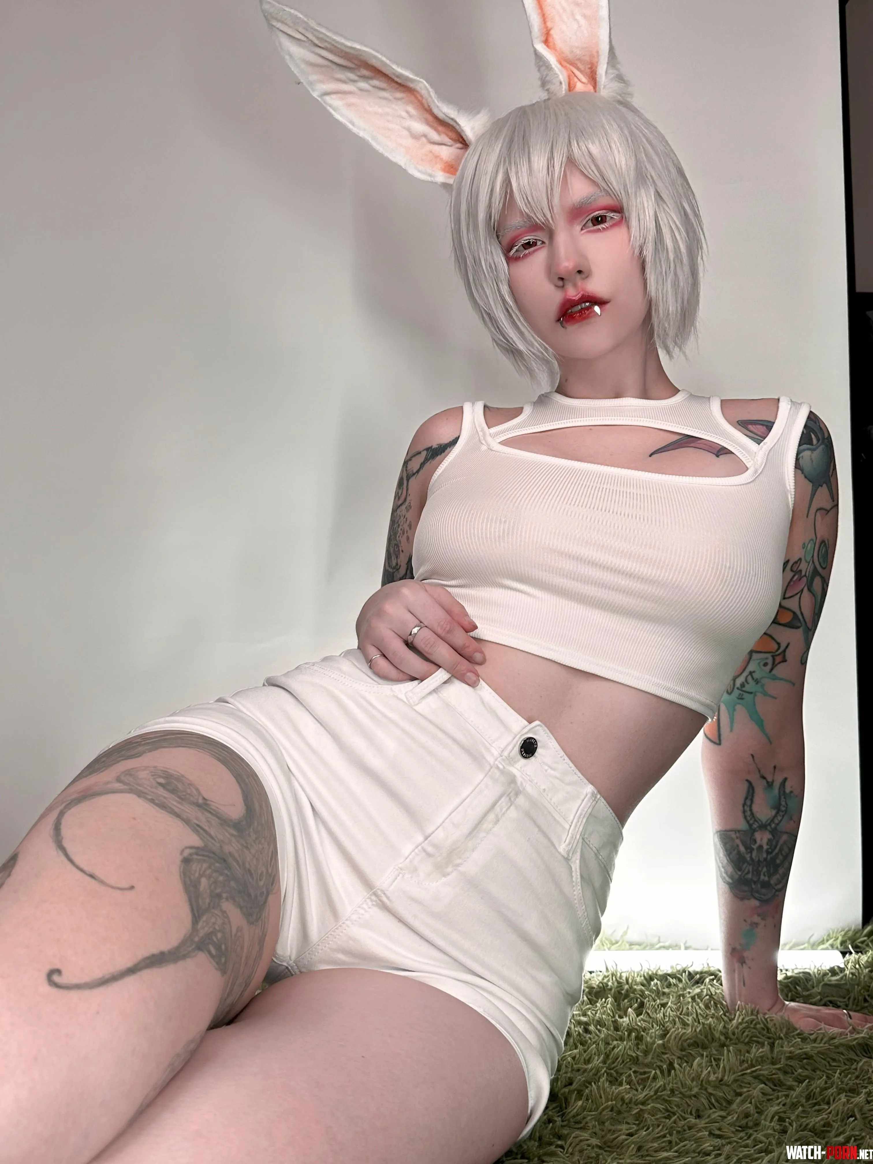 Albino bunny by BakaFuwa