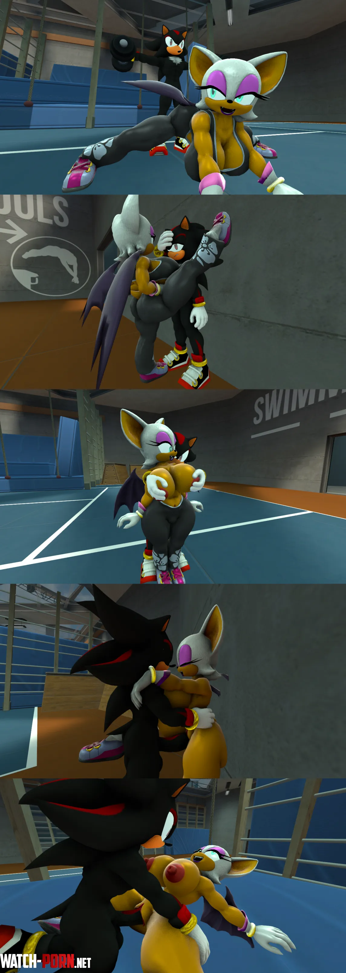 Shadow and Rouge fuck in the gym. (Galestar01) by PJ-The-Awesome