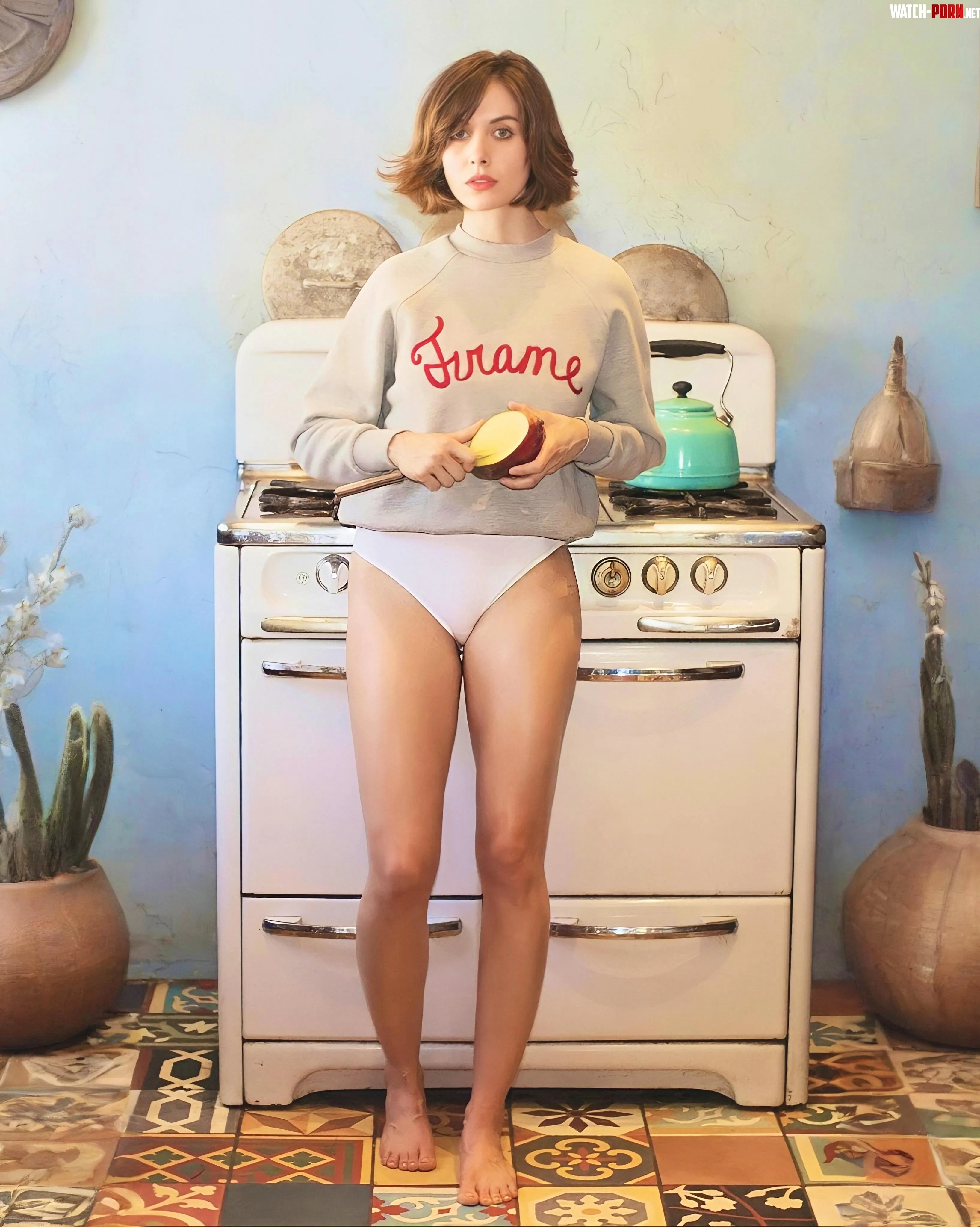 Alison Brie by zoyadest69