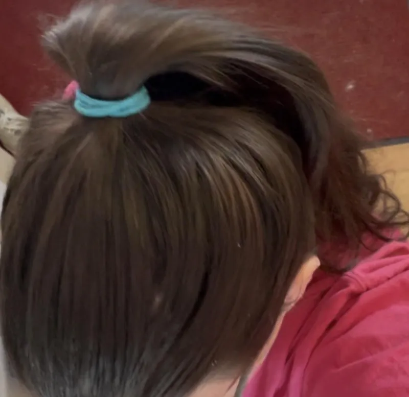 Thumbnail Dazzling_Demand9678 Showcases Pretty Ponytail Styles