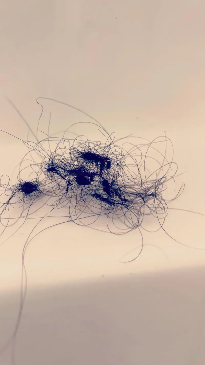 Thumbnail CertifiedD1straction's Query on Ponytails Unveiled