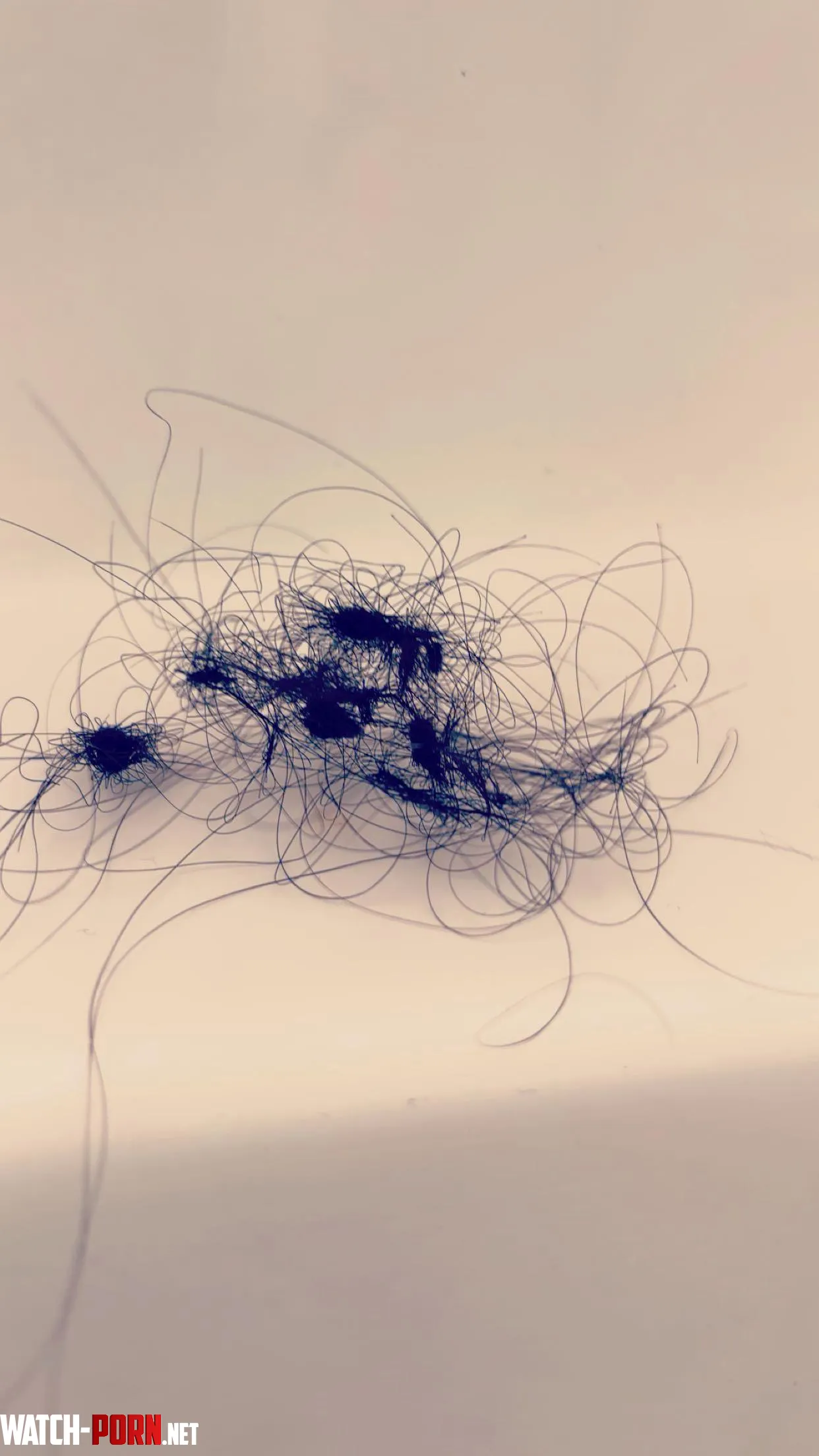 What do you guys do with this… asking for a friend by CertifiedD1straction