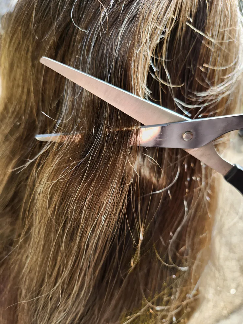 Thumbnail All About Hair-Cutting Fetish: Female Enthusiasts? | Excitement_Dependent