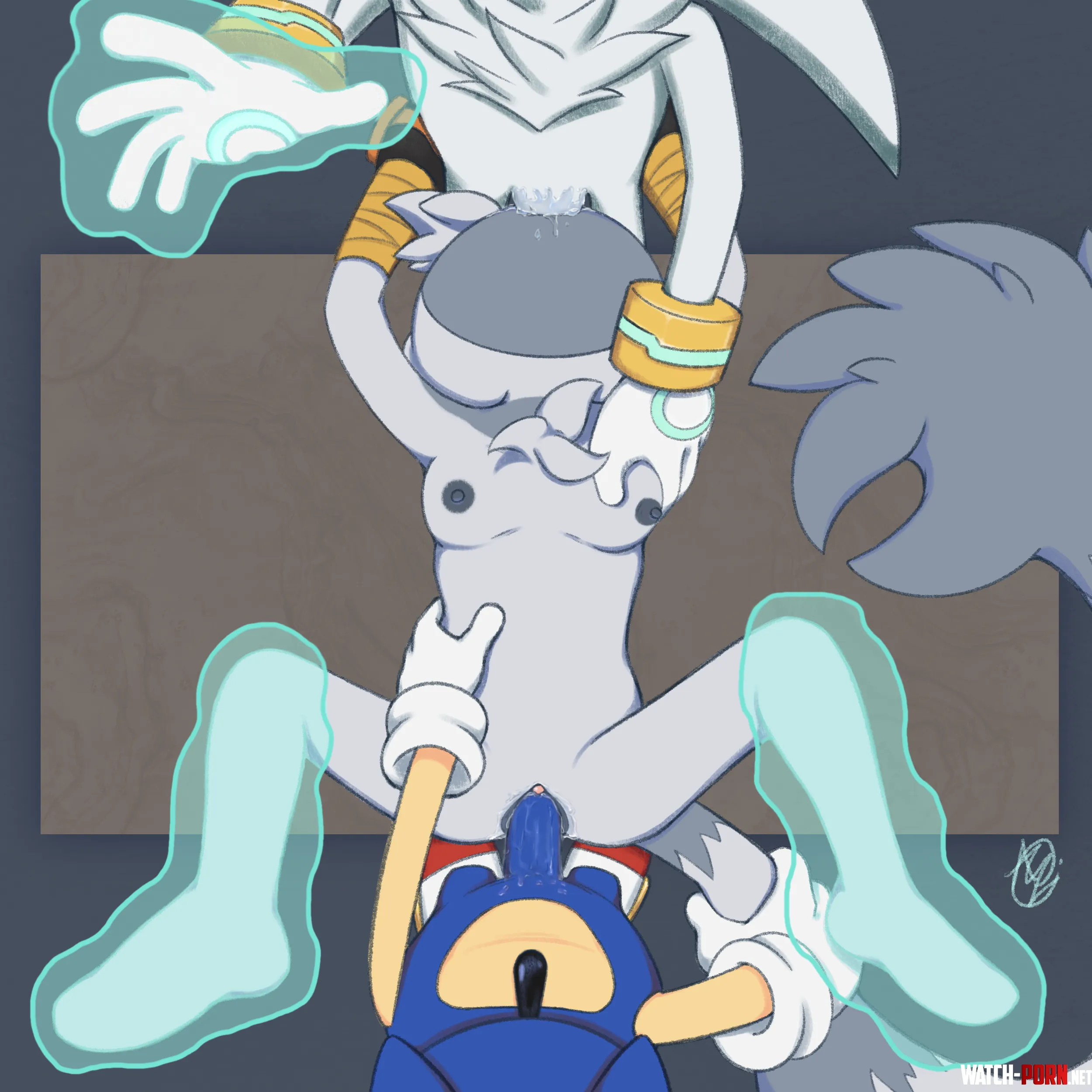 Sonic and Silver double team Tangle [Innotsu] by CalloftheWild69