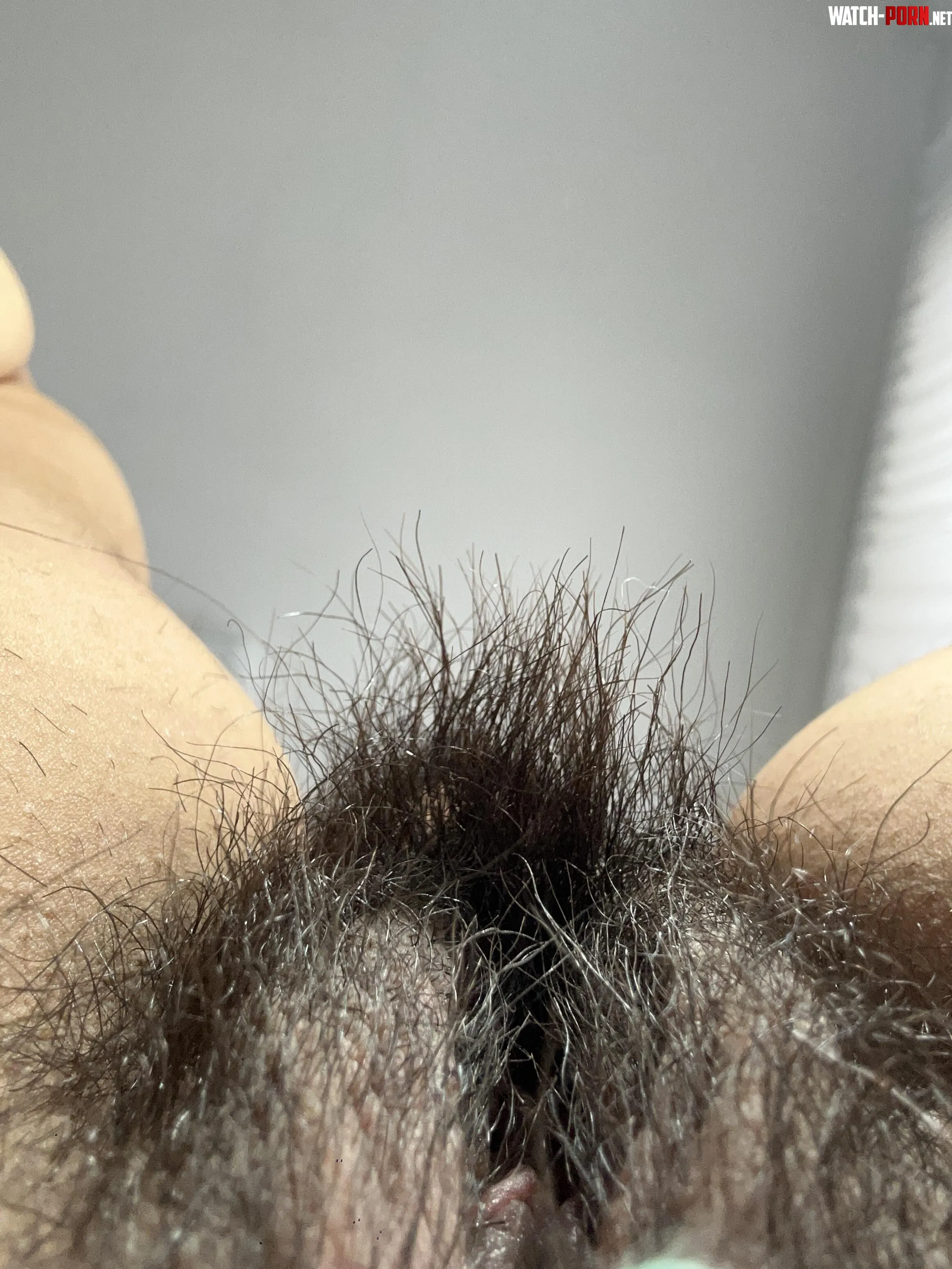 chubby, plump and hairy by sweetdirty97