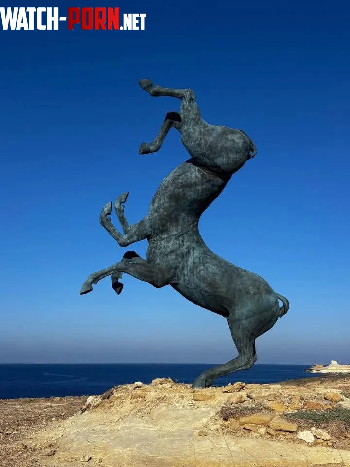 Fusion gone wrong? Double Horse Centaur by VerseVice