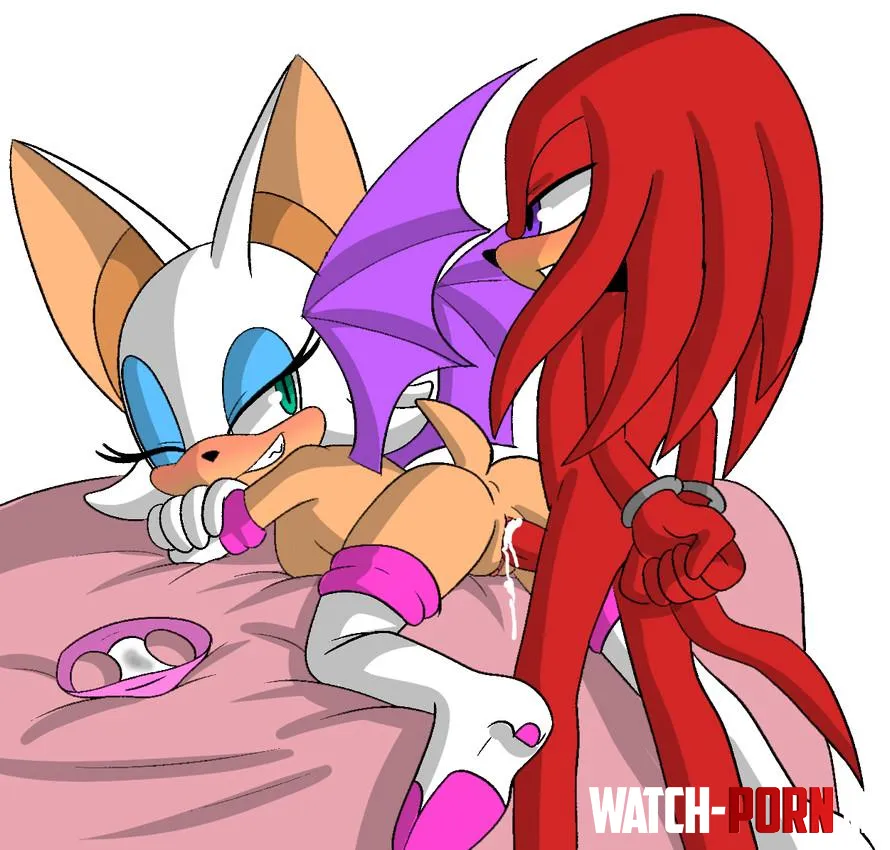 Rouge makes Knuckles go hands free [angelofhapiness] by CalloftheWild69