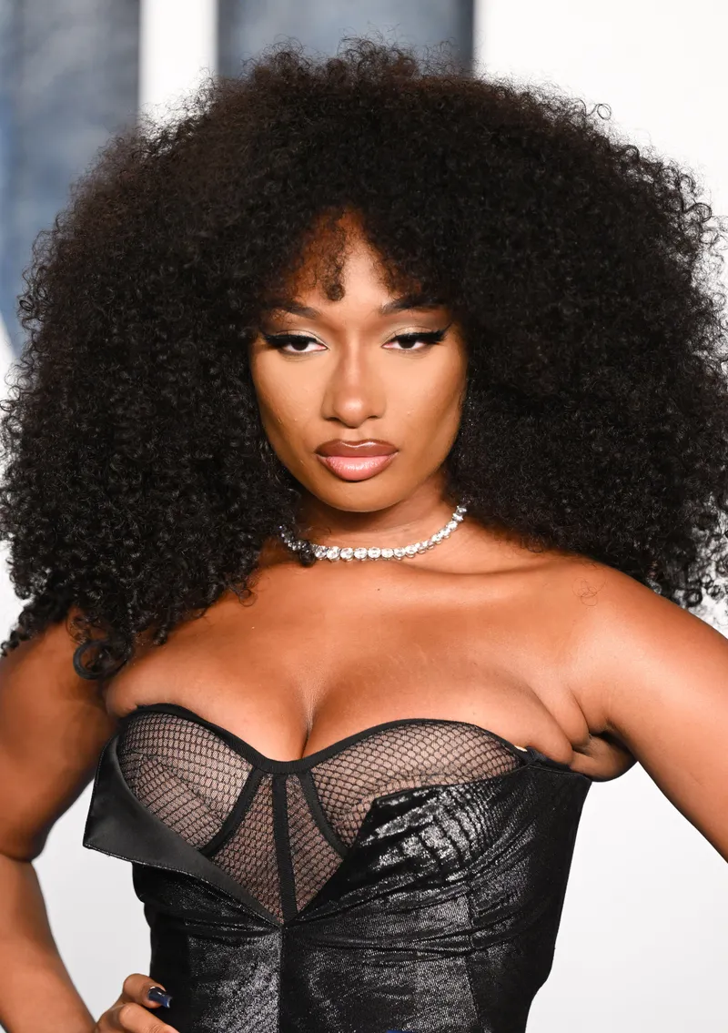 Thumbnail Old-Bear-5275's Muse: Megan Thee Stallion | HipHopGoneWild