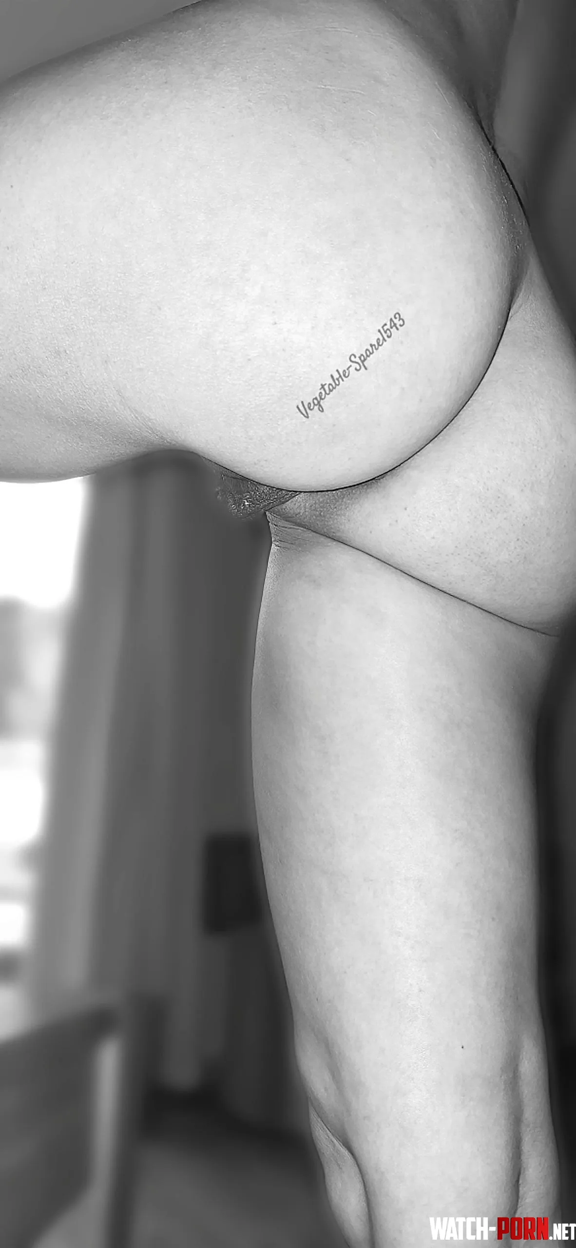 I'm ready, now I just need someone with a quick tongue [F42] by Vegetable-Spare1543