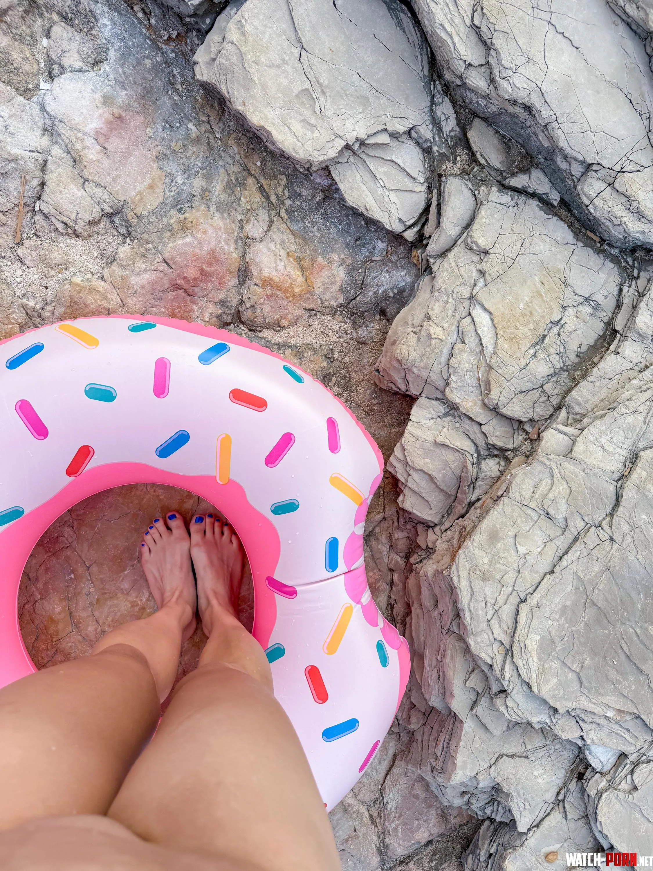 Sending greetings from the seaside by Bees-n-Puppies