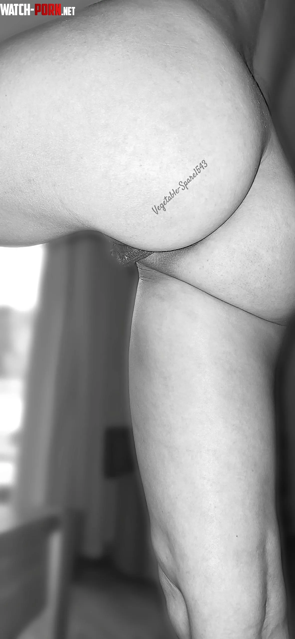 I'm ready, now I just need someone with a quick tongue [F42] by Vegetable-Spare1543