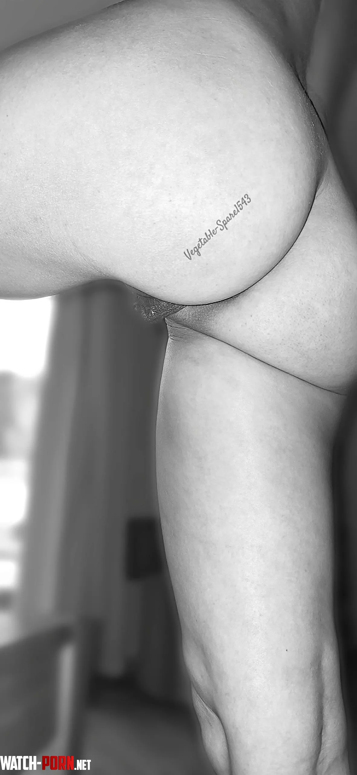 I'm ready, now I just need someone with a quick tongue [F42] by Vegetable-Spare1543