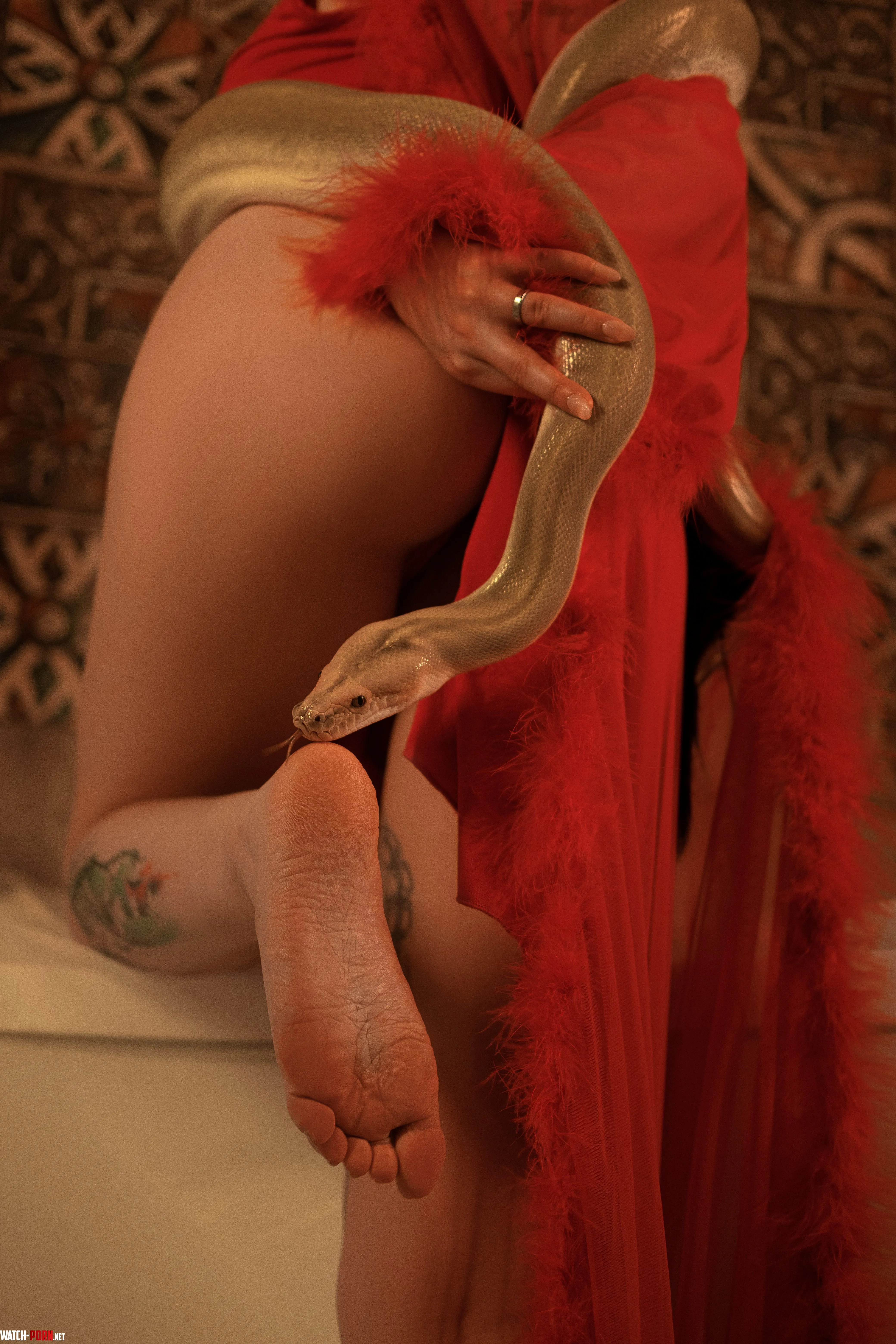 Boa [One Piece] by me (BakaFuwa) by BakaFuwa