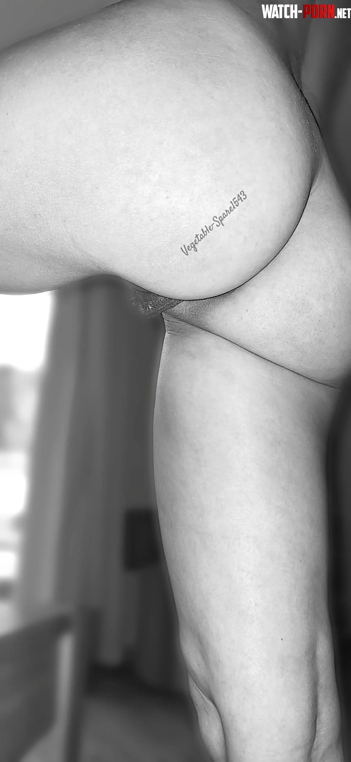 I'm ready, now I just need someone with a quick tongue [F42] by Vegetable-Spare1543