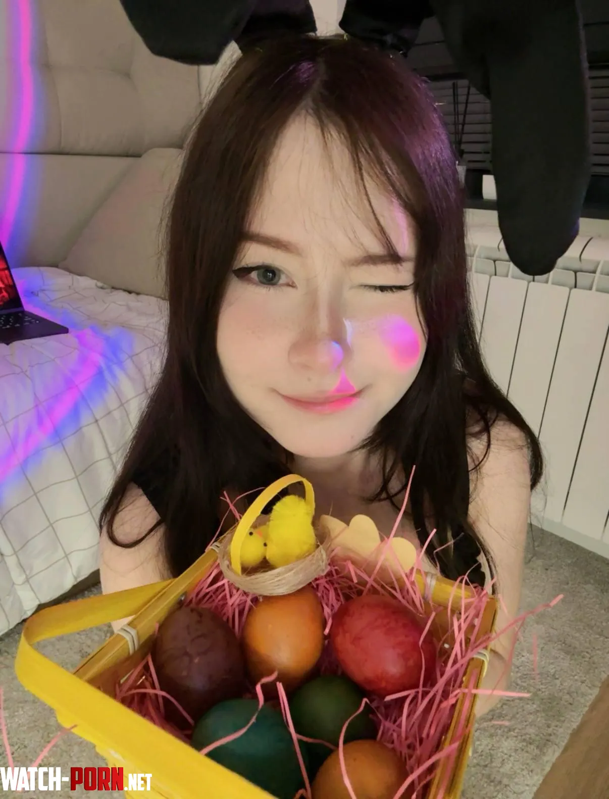 A cute bunny with a gift by slowlyyours