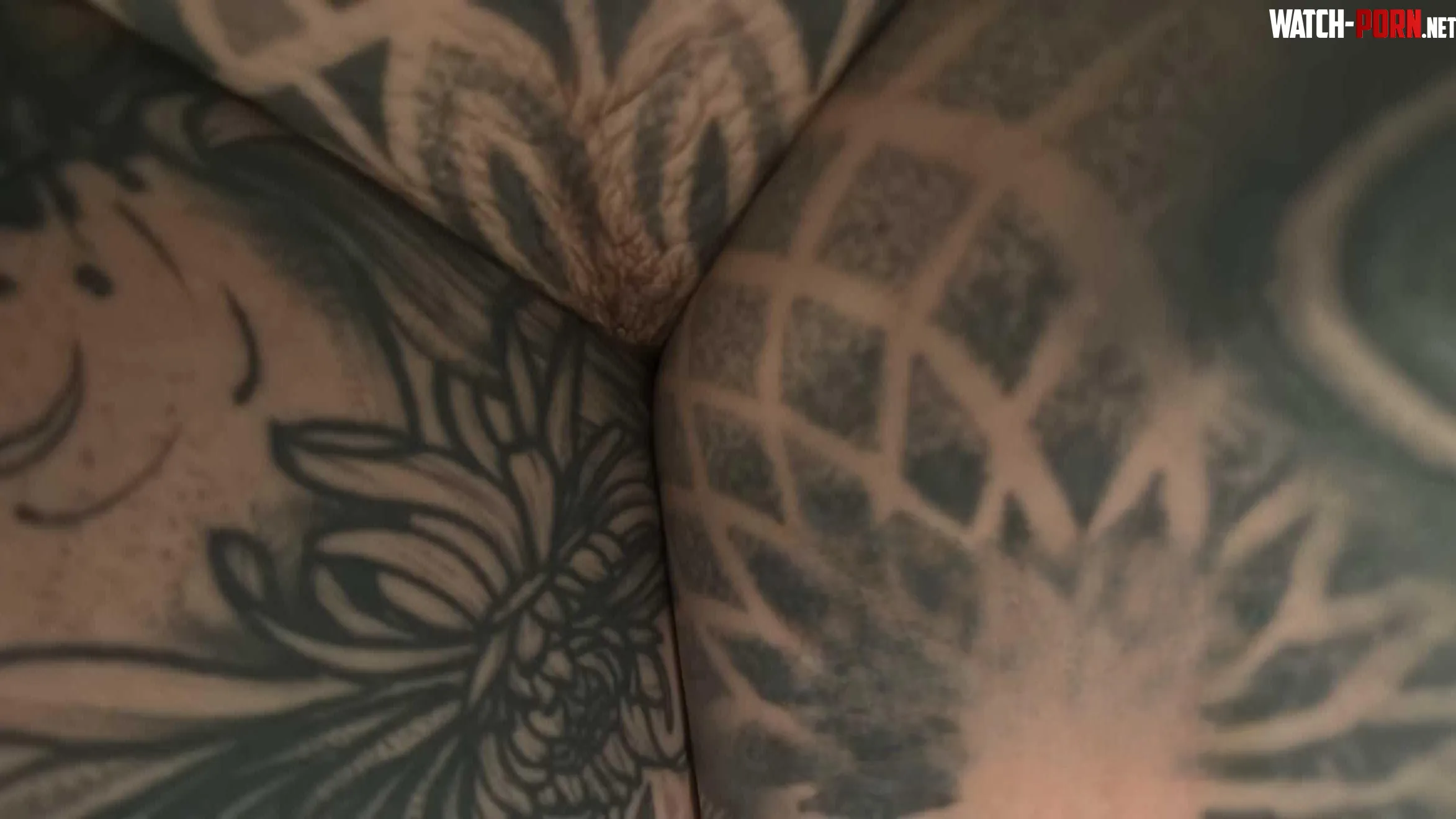 Bunny ears by anneamor