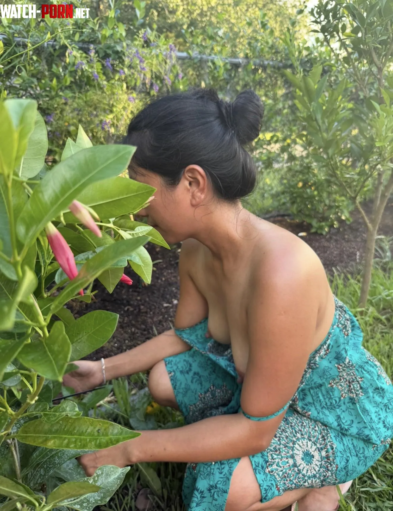 Plantita 🪴 by PerkyPinay