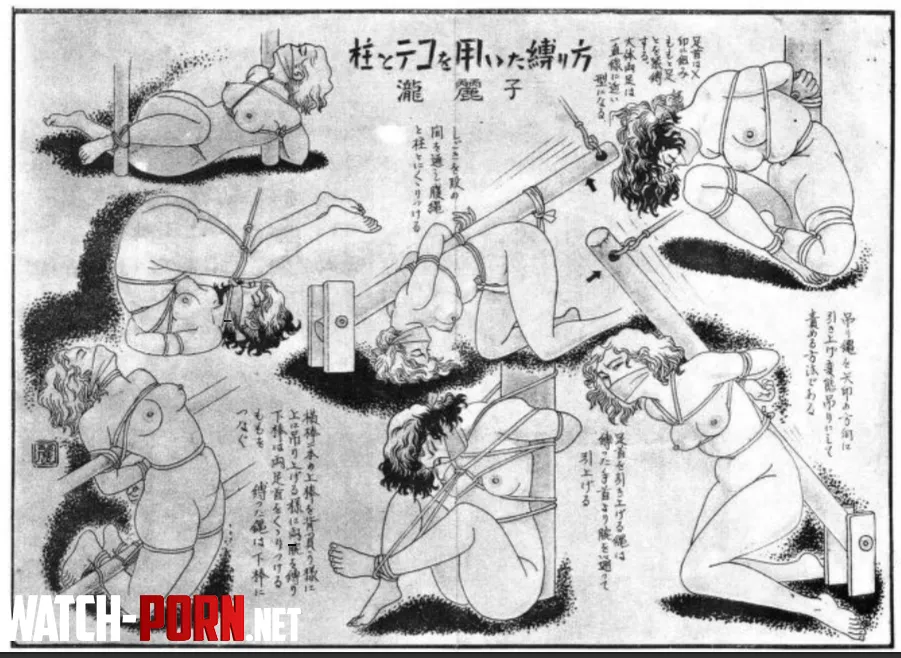 Vintage Shibari illustrations by LRTstudios