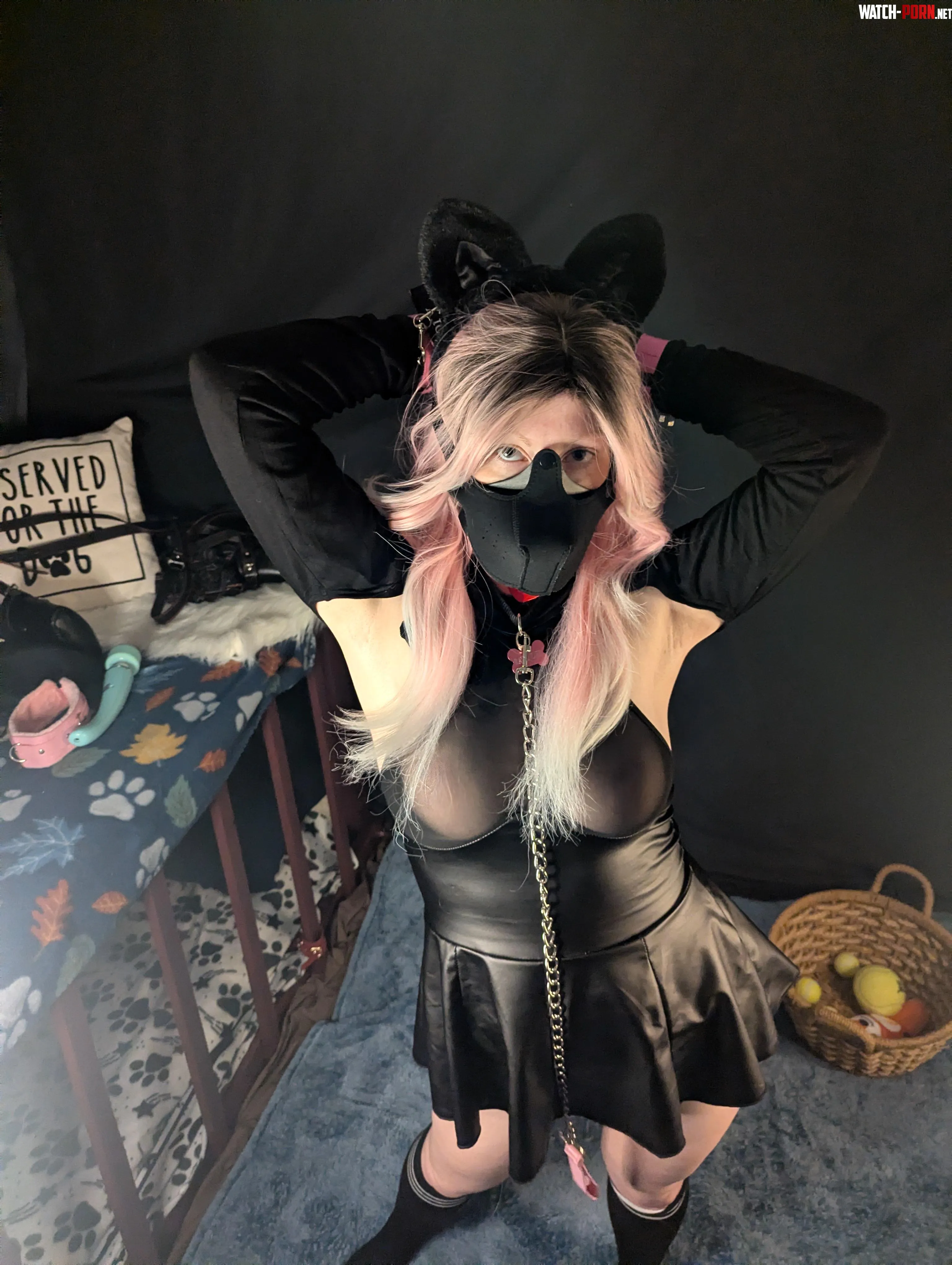 If you adopted me, what would you name me? by Puppy_Girl_Fever