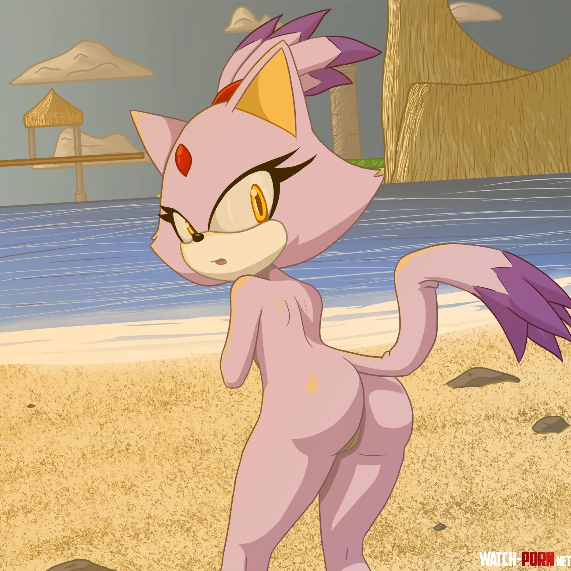 Blaze gets caught going nude on the beach [naughtywitch] by CalloftheWild69