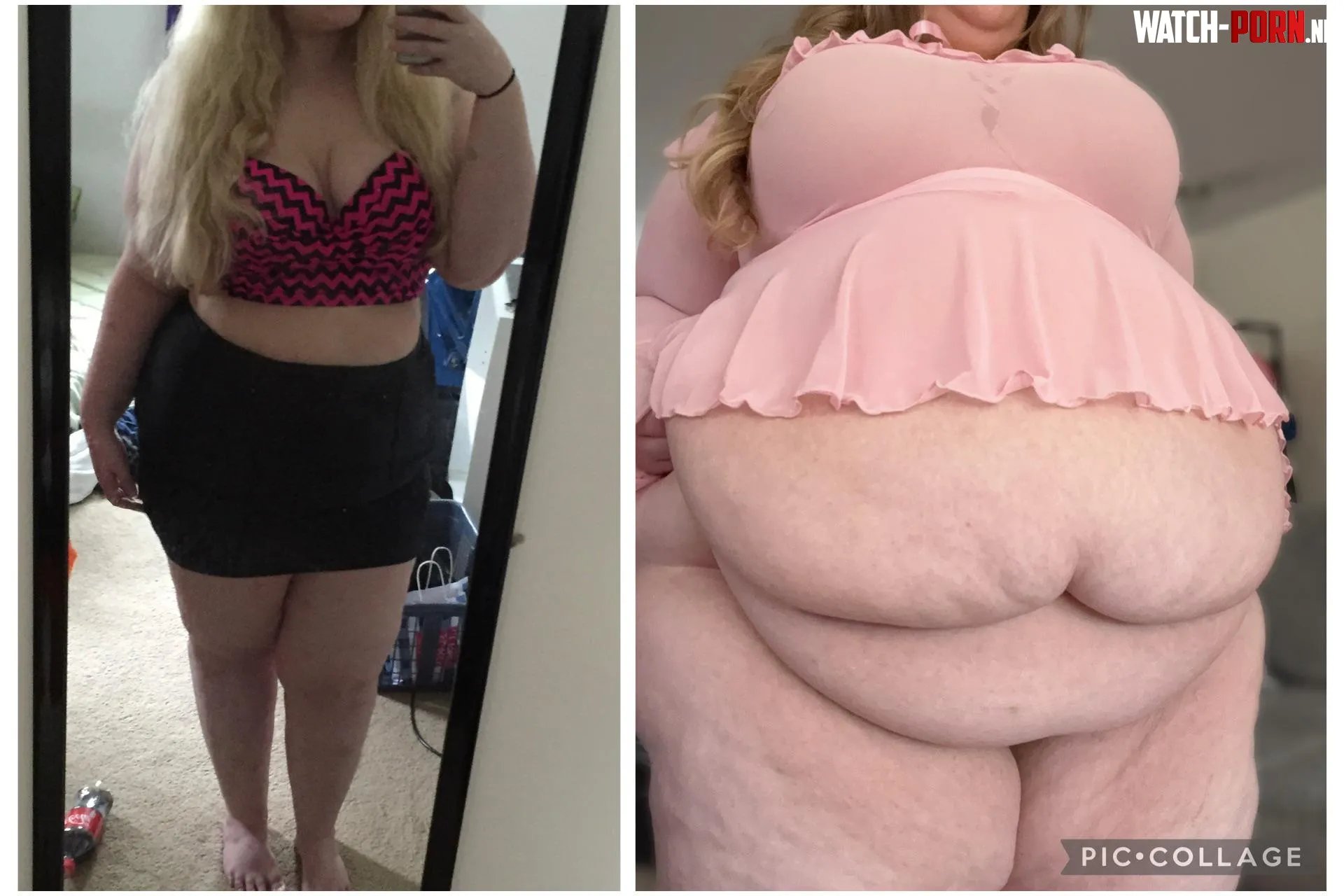 How things are going… 🐷 by thegirthofvenus_