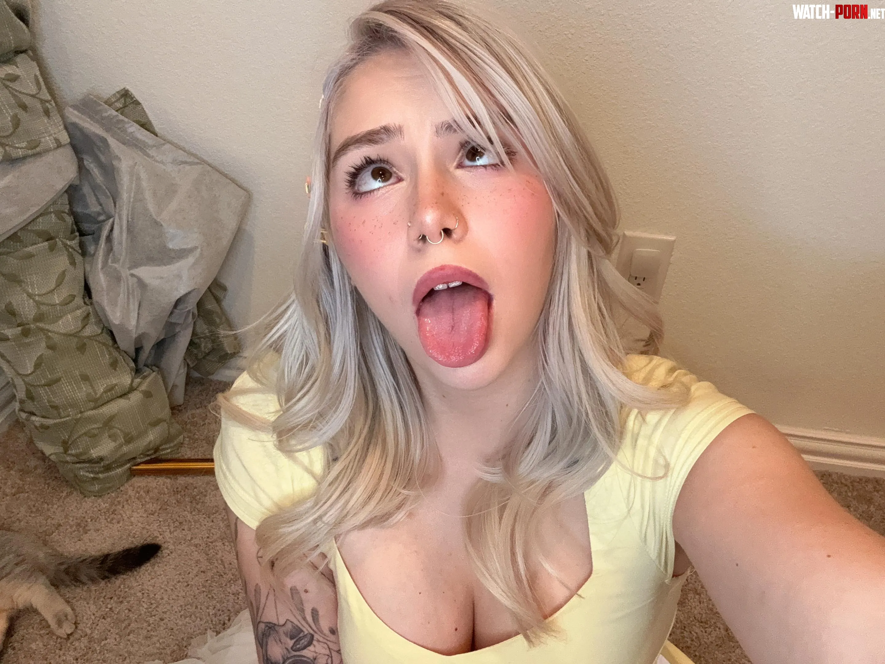 You know where to aim by No_Tax_3751