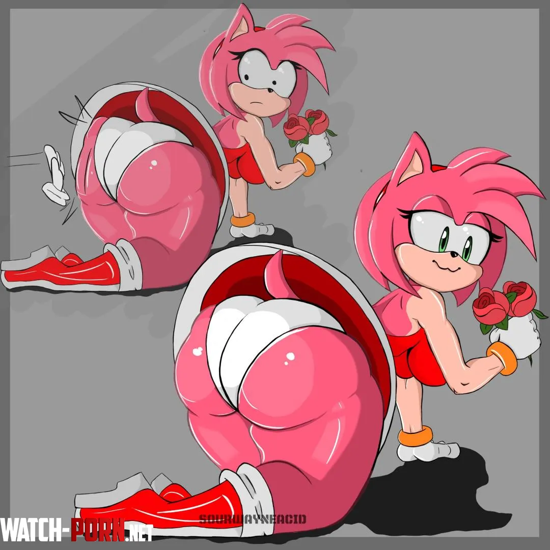 Amy Rose (sourwayne) [Sonic the Hedgehog] by Ok_You2035