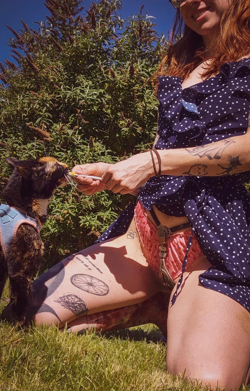 Thumbnail Little Sunny Spring Day Delights in Female Chastity by Lynx_Slight