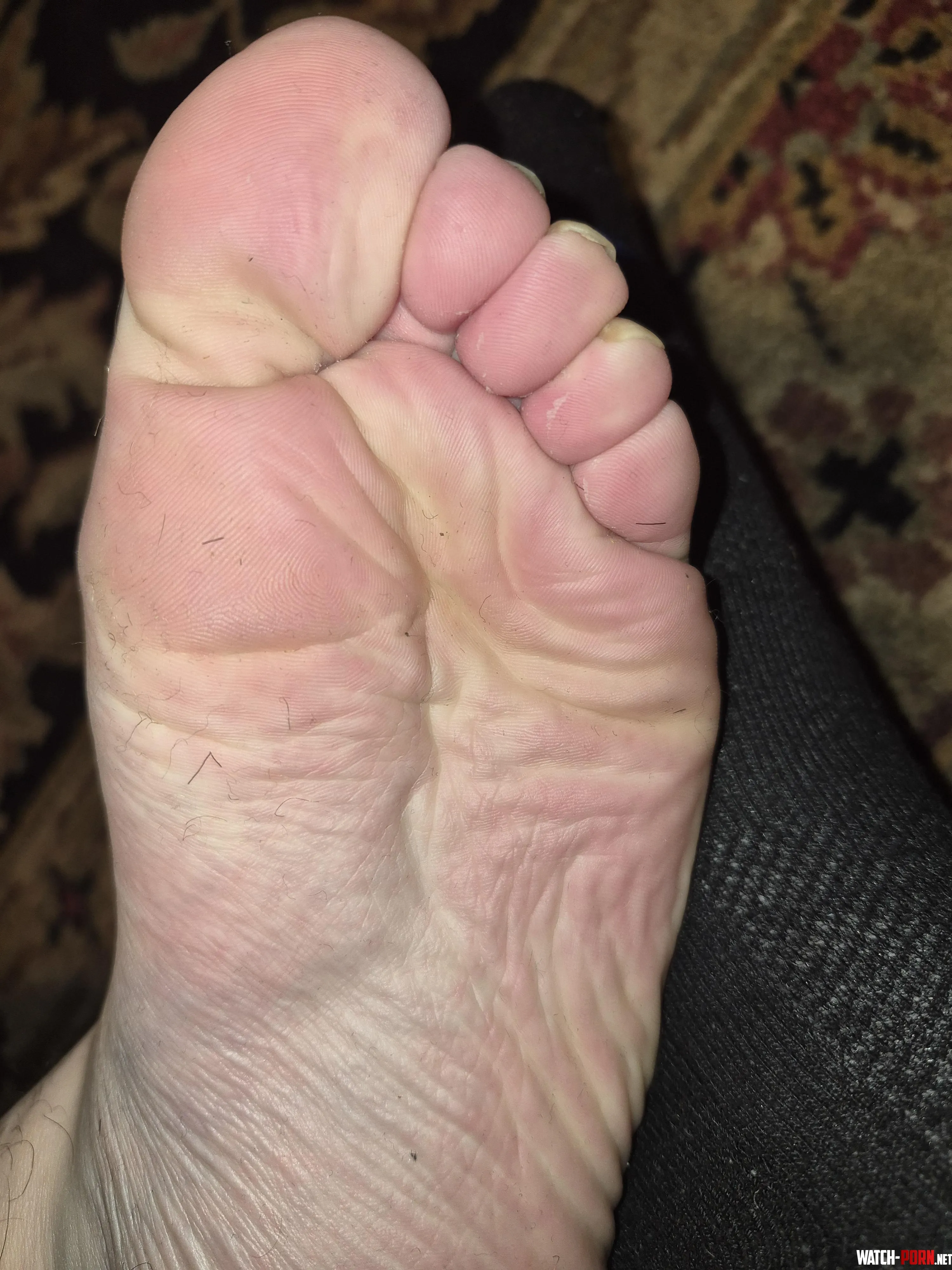 Who wants to send $$ for my sweaty size 11s like a good boy for daddy by camb0yfkup