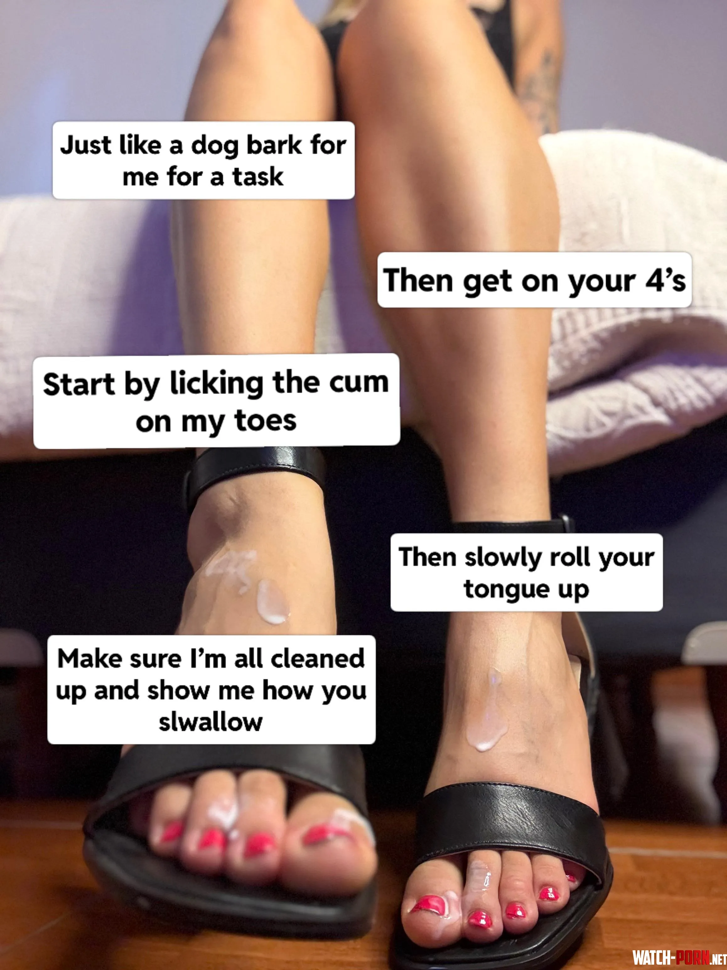 Get on your knees and lick my feet cuck! by lustlongsph