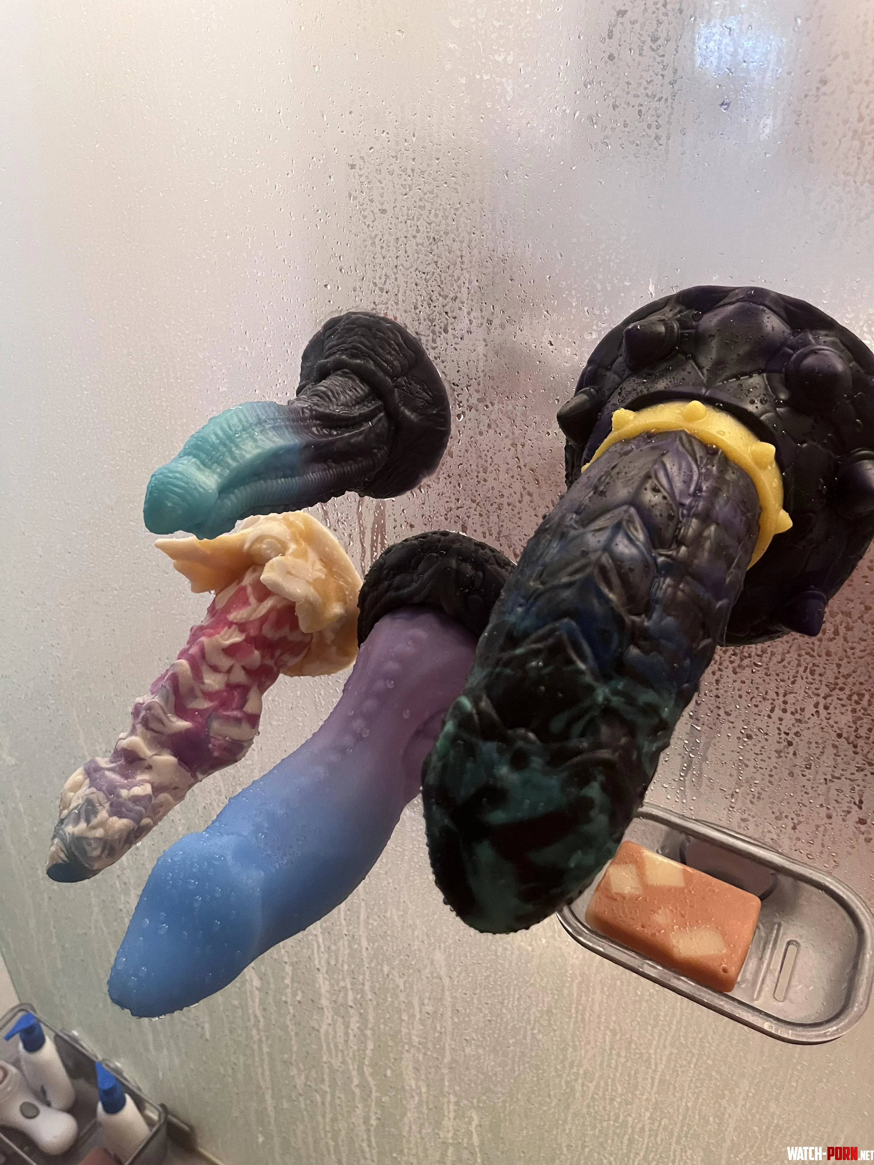 Saturday Showertime Funtime by Frequent_Record_469