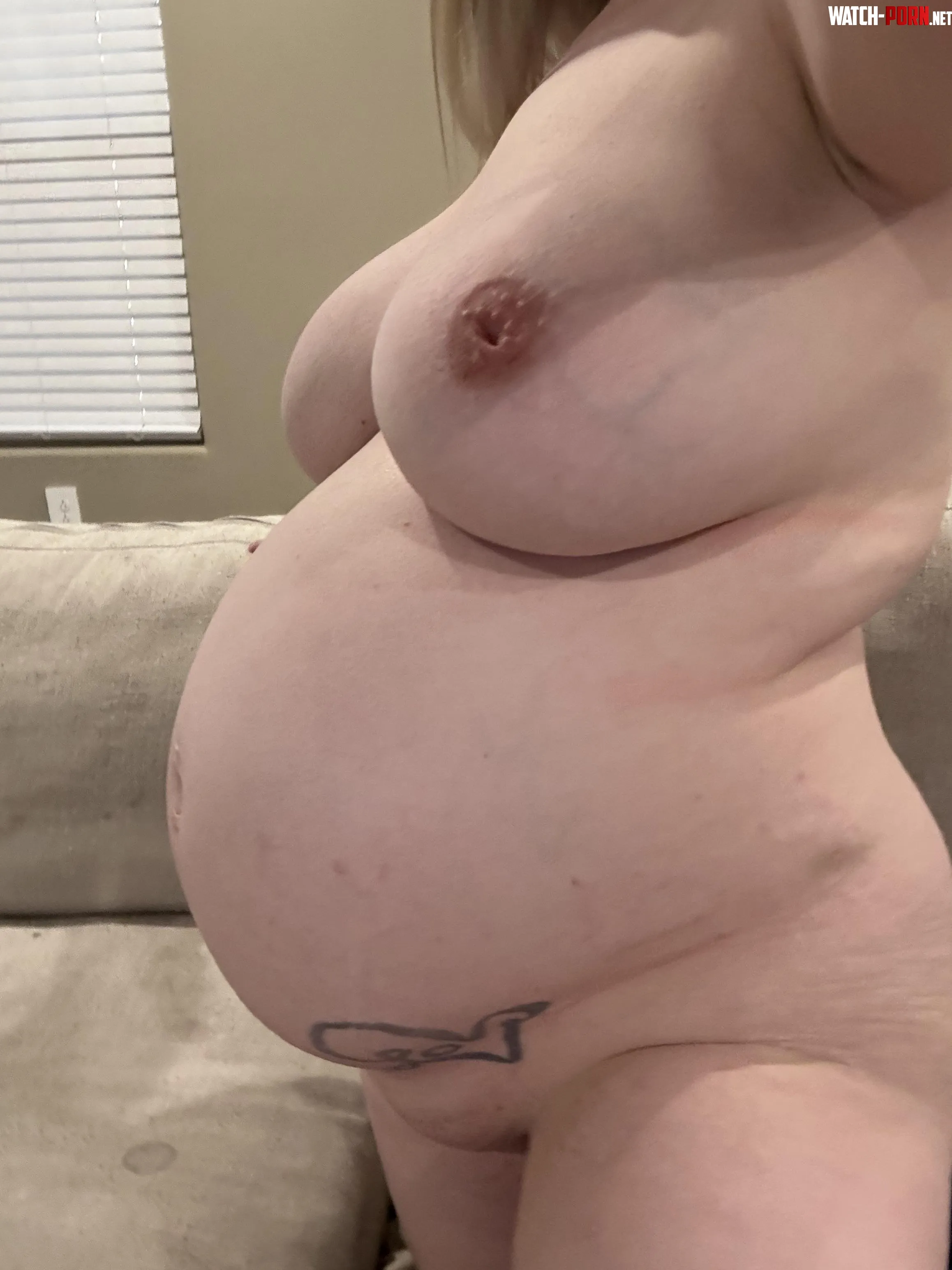 Would you breed my preggo body next? by thatgirlbrandii
