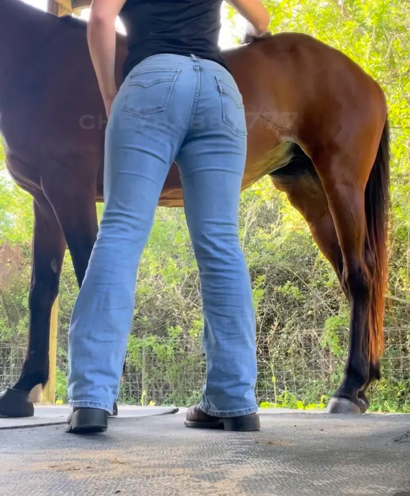 Thumbnail Countrygirls: Let’s Ride by cheybabby_777
