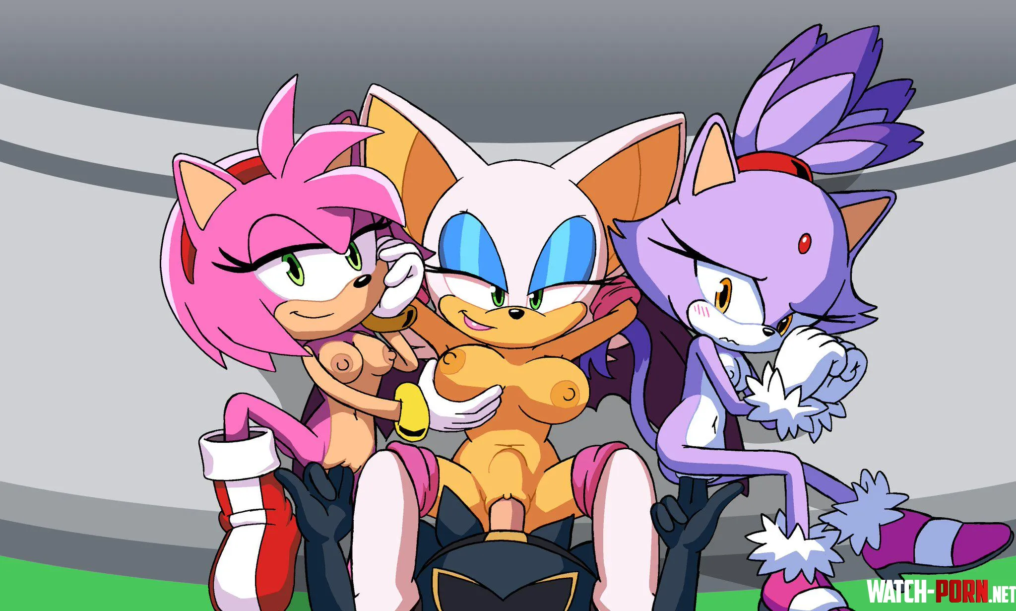 Lucky bastard has his way with Amy, Rouge AND Blaze [lisnotsfw] by CalloftheWild69