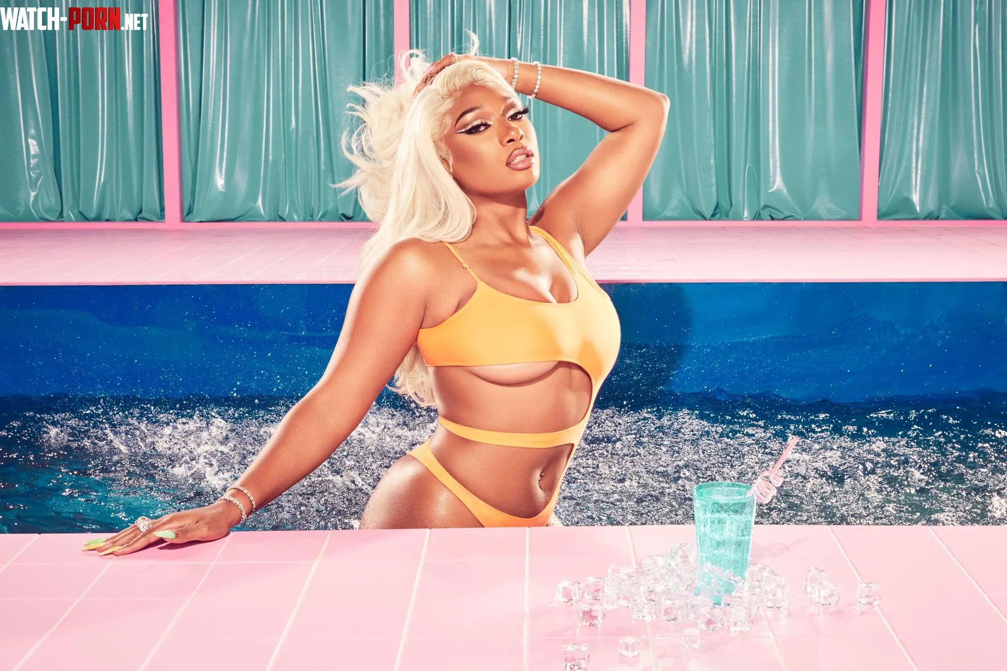 Megan thee stallion. by Old-Bear-5275
