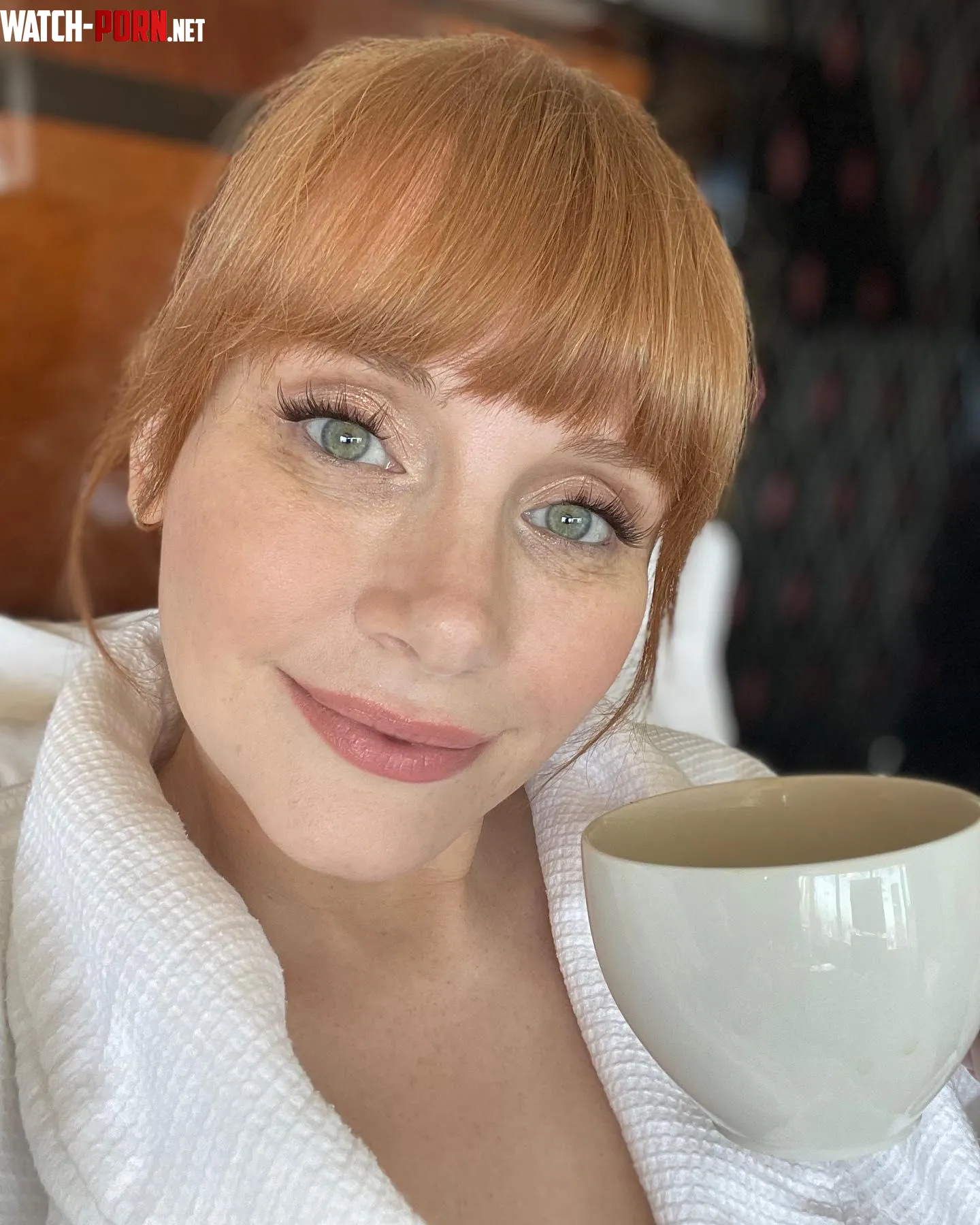 Bryce Dallas Howard by Chazz777