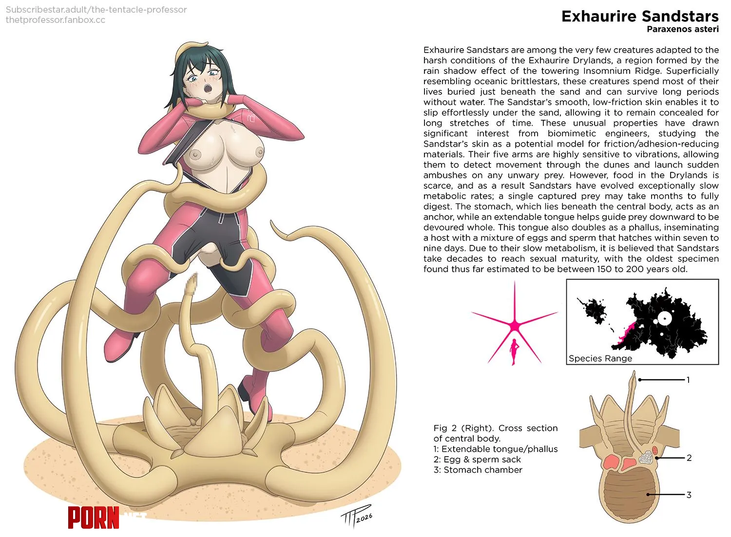 Kathleen x New specimen (The Tentacle Professor) by TentacleProfessor
