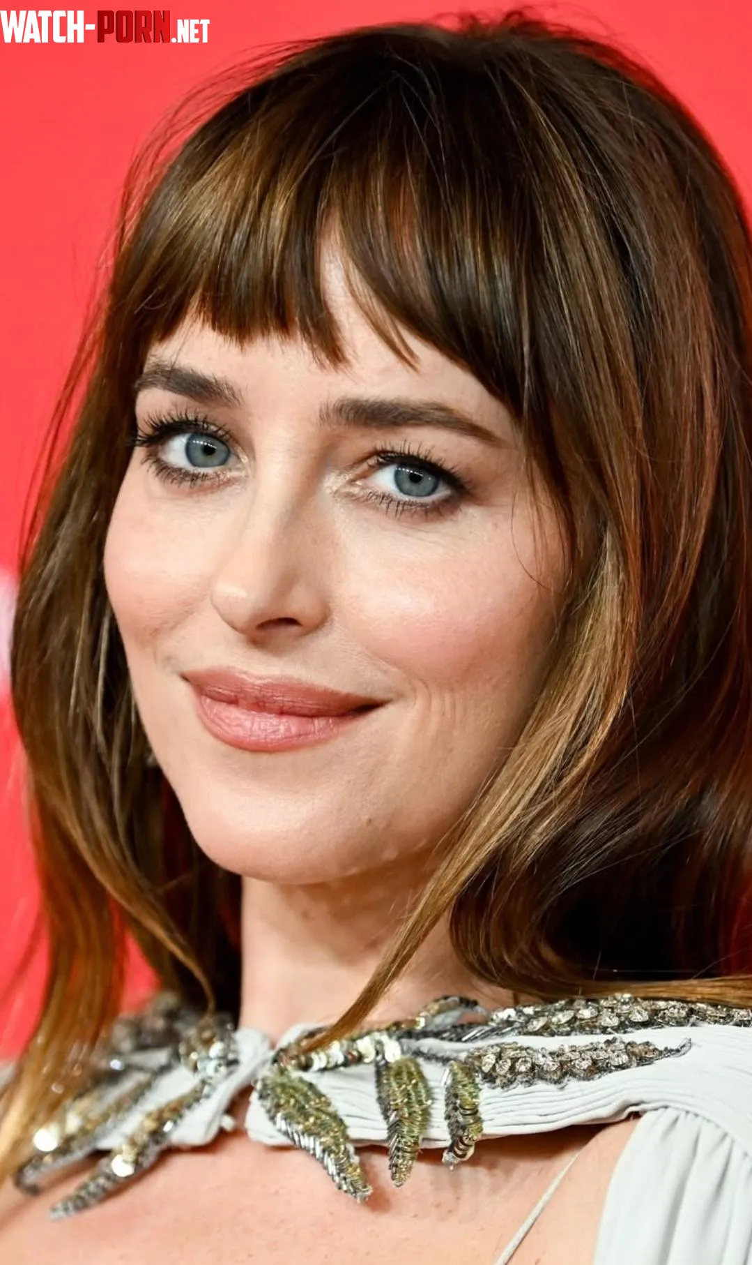 Dakota Johnson by BillyDaBrute