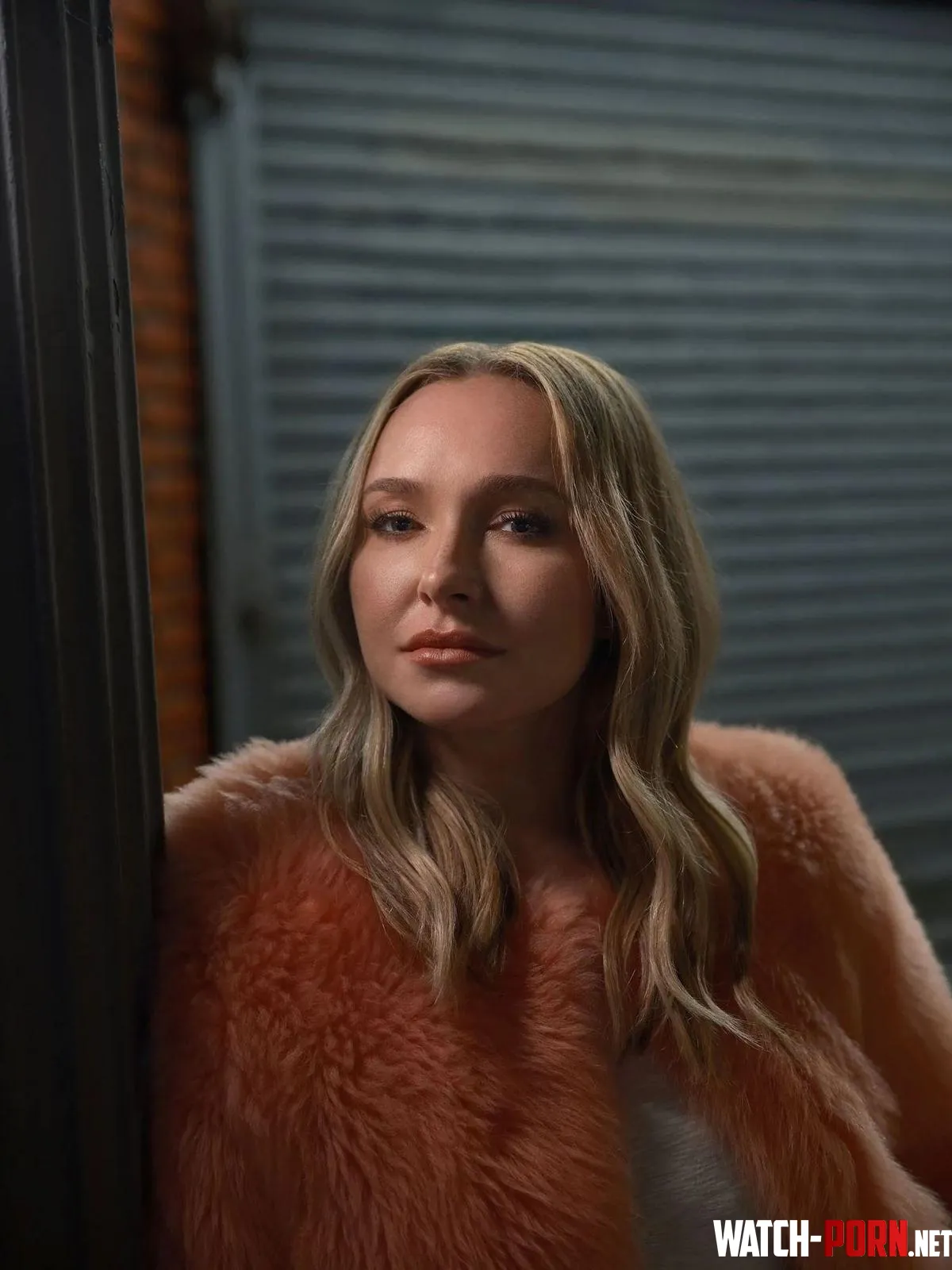Hayden Panettiere by DrDoom_E828