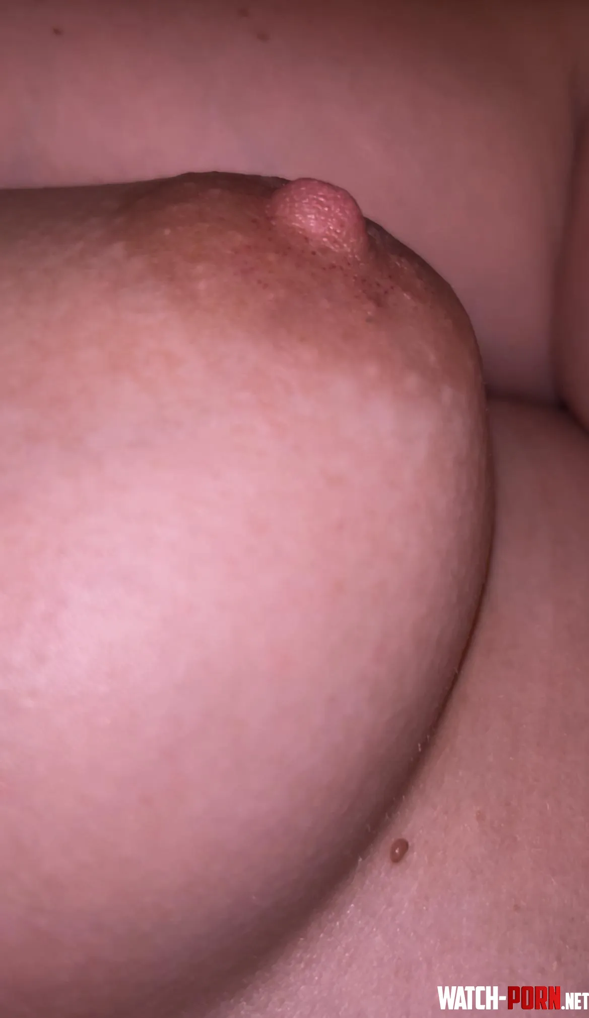 Close up puffie by VickyNass