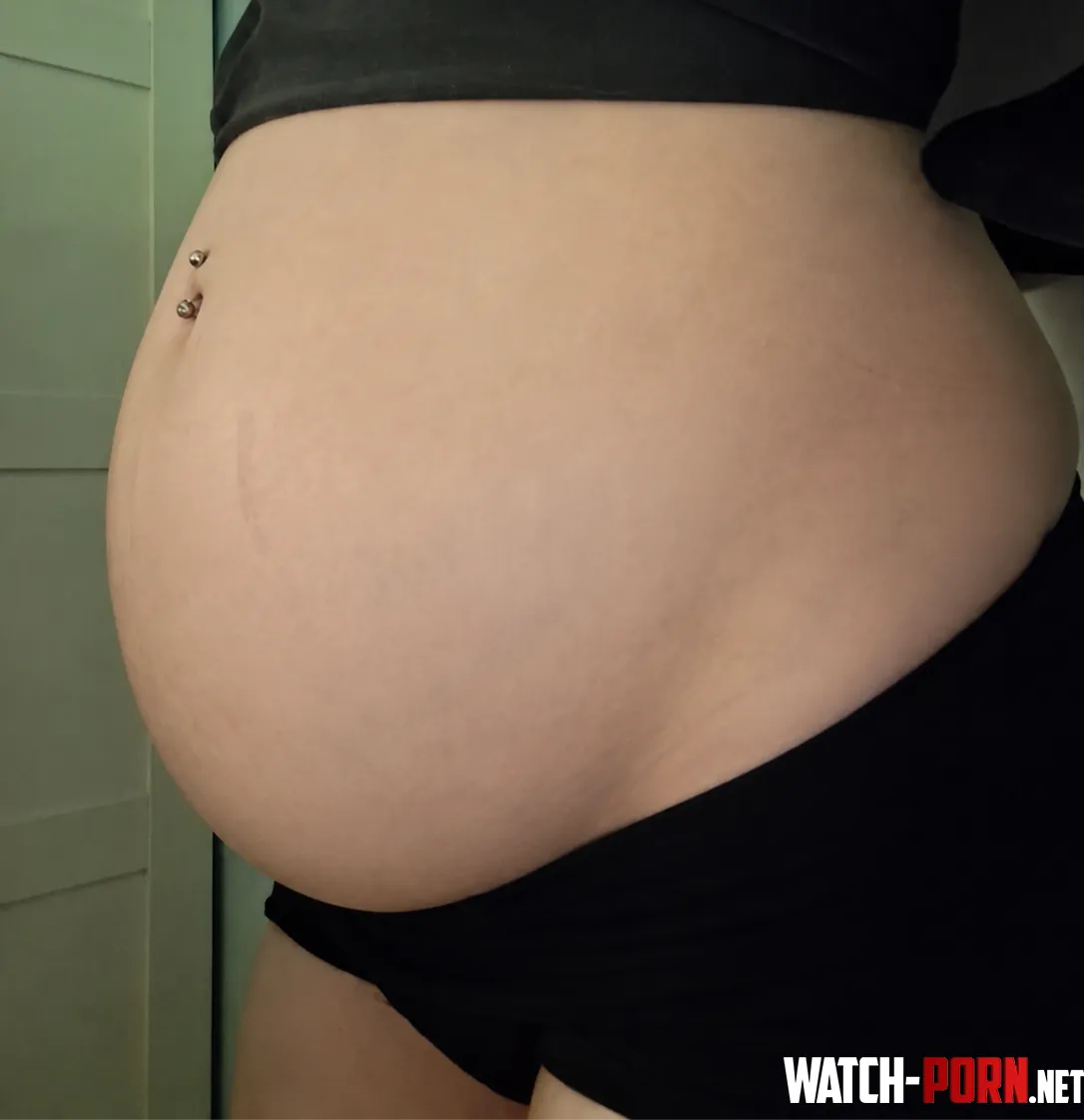 Still here, still fat as fuck and begging to be teased for it by Traditional-Authors