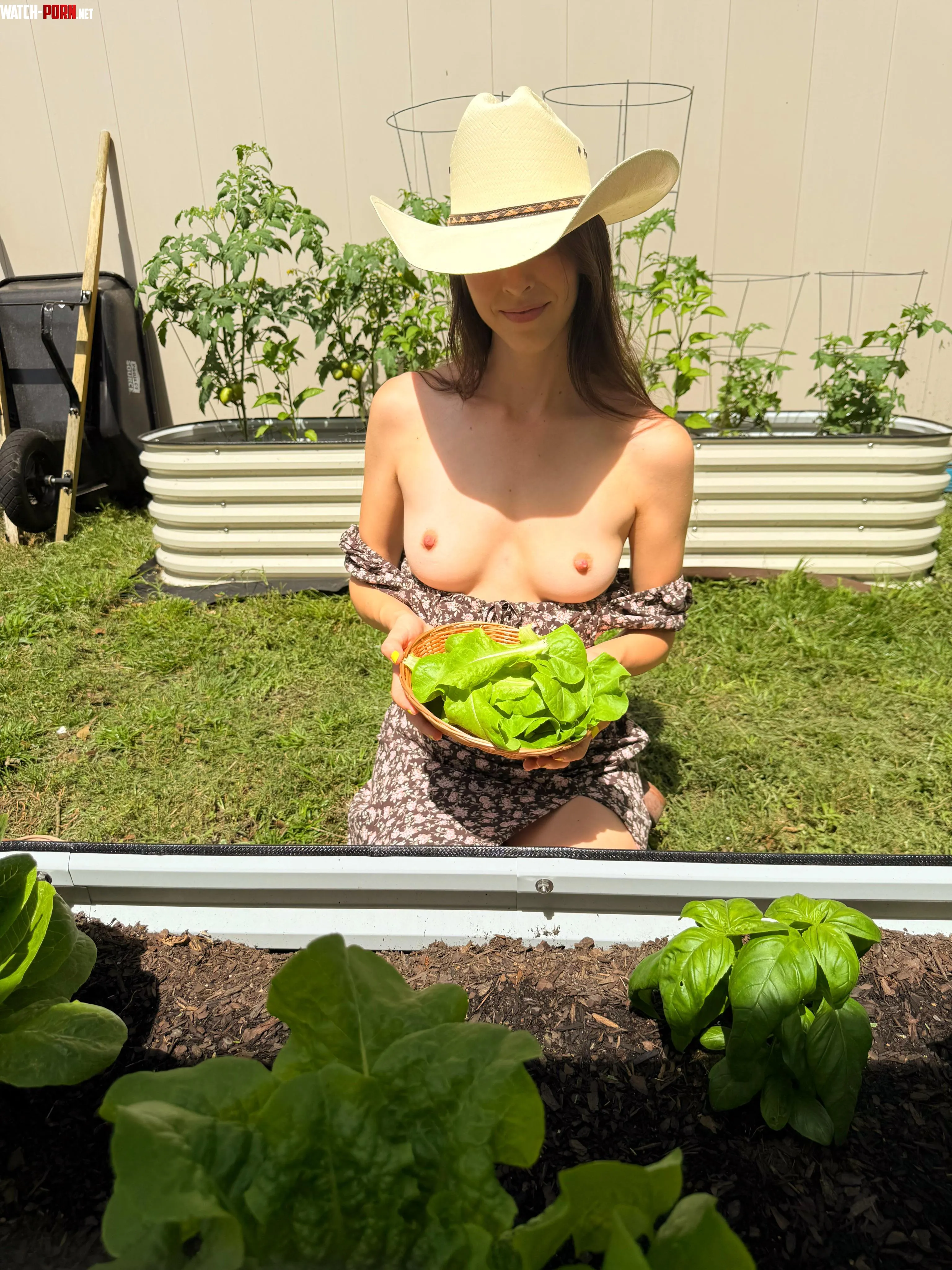 Need some fresh veggies by Nattykatty69