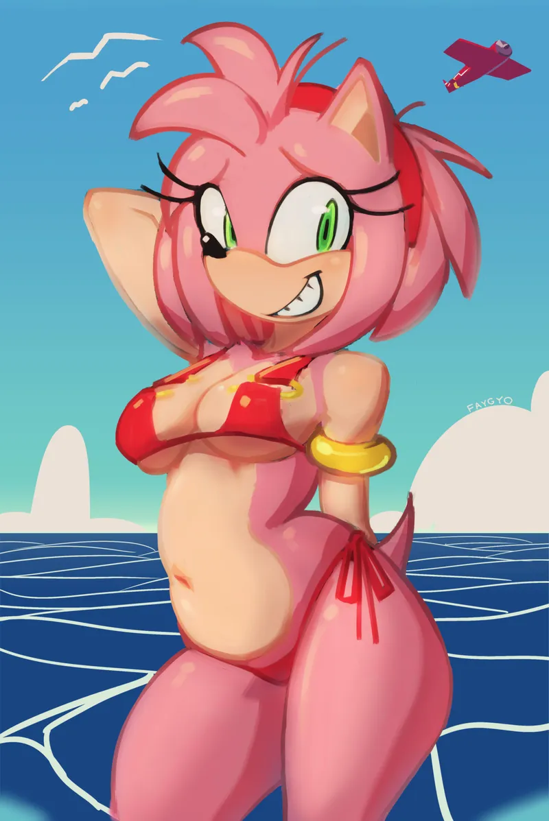 Thumbnail Amy's Beach Poses in SonicPorn by faygyo and skylander12345