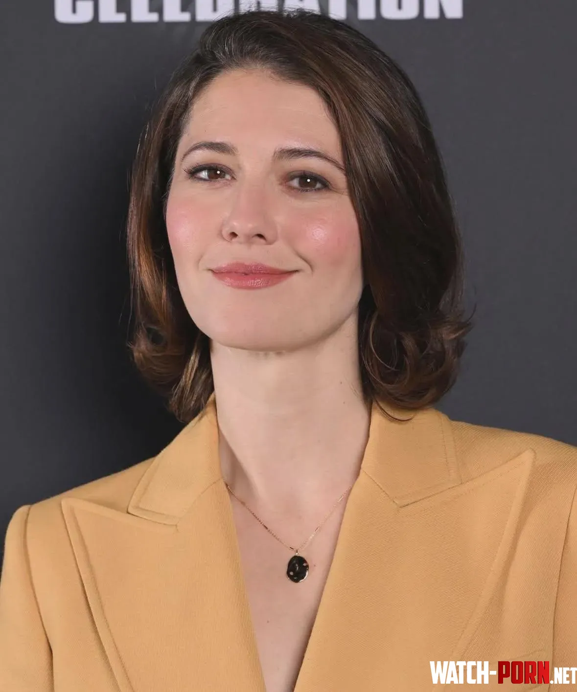 Mary Elizabeth Winstead by LolthCat2187